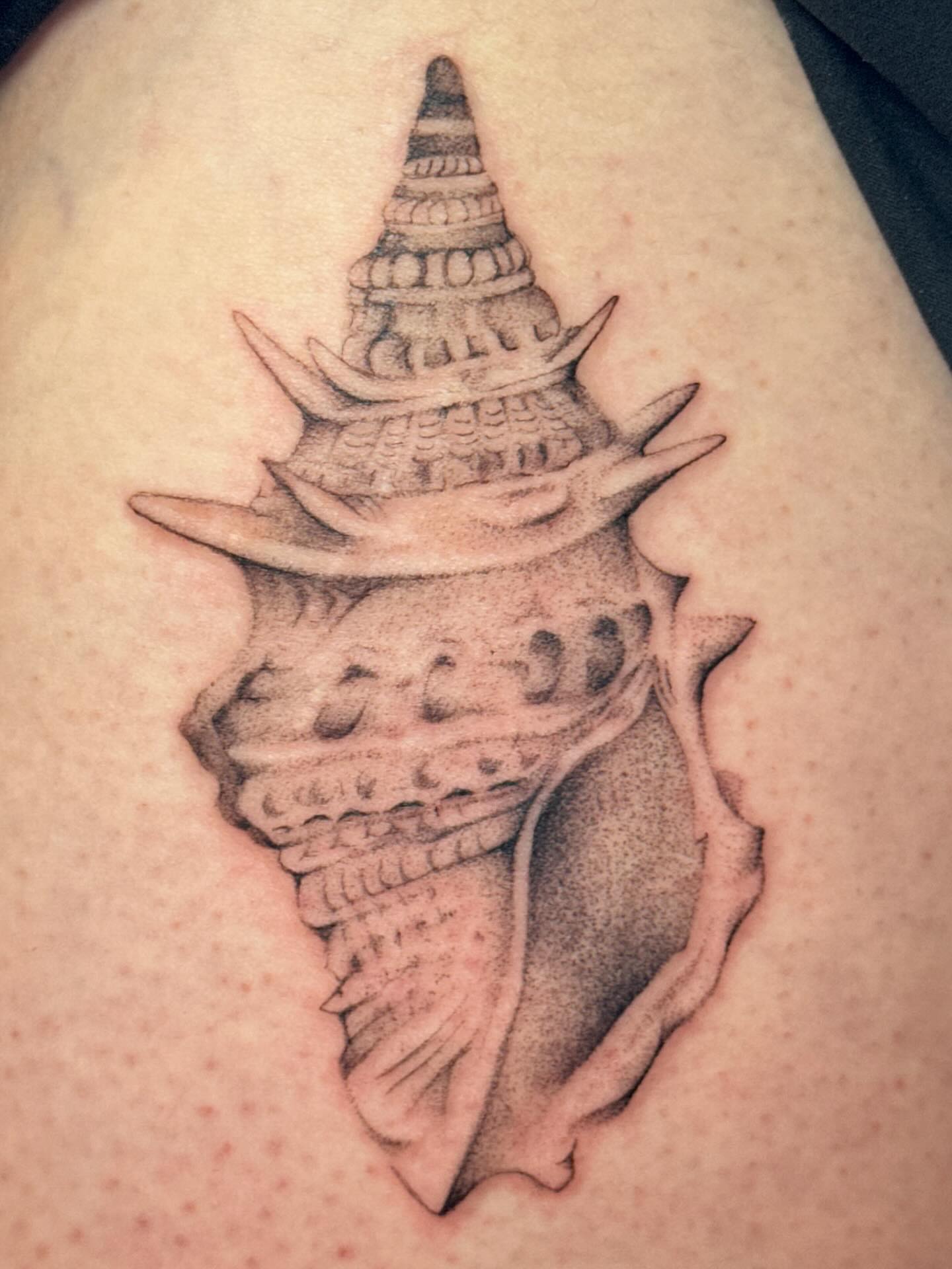 Conch shell black and grey tattoo on the thigh by tattoos by miss jackie o 🎱