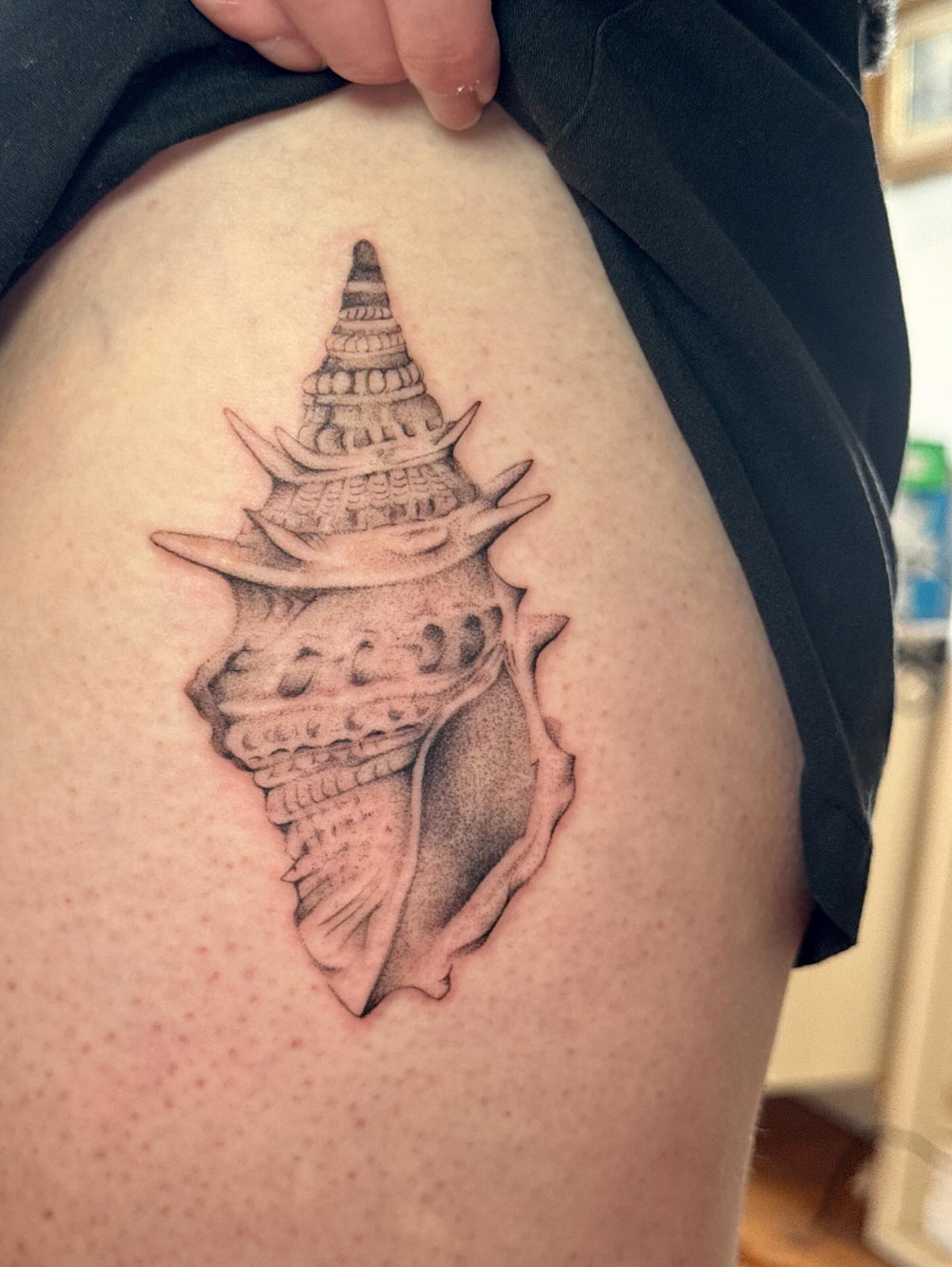 Conch shell black and grey tattoo on the thigh by tattoos by miss jackie o 🎱