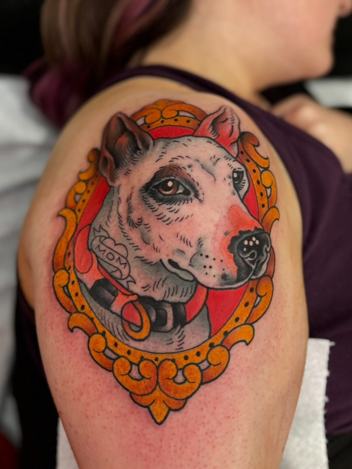 Pitbull portrait American traditional tattoo on the shoulder by Cody Collins