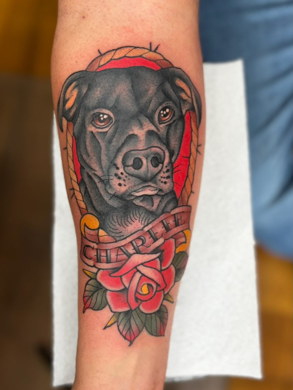 Pitbull and rose American traditional tattoo on the forearm by Cody Collins