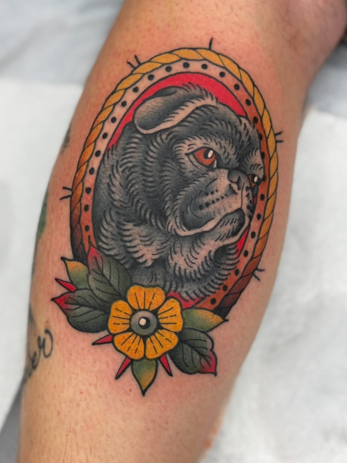 Bull terrier American traditional tattoo on the forearm by Cody Collins