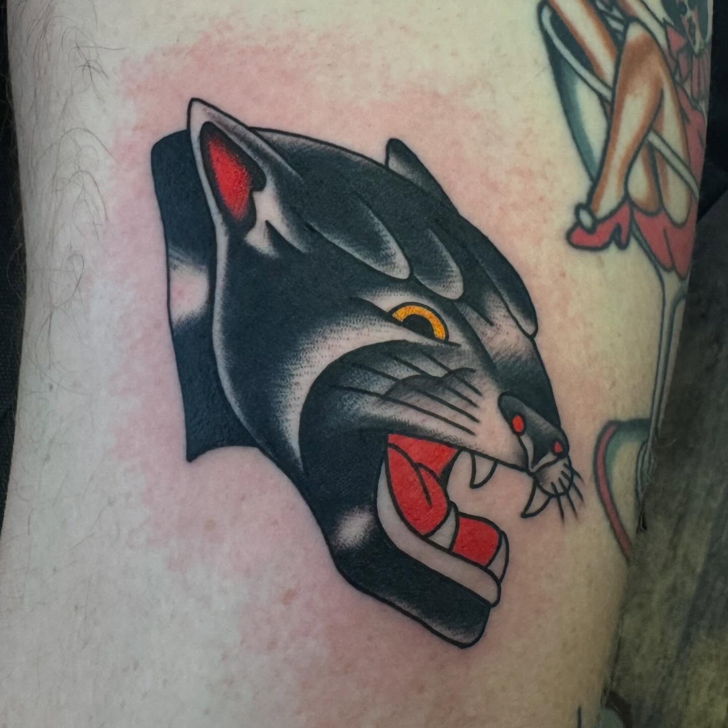Roaring panther American traditional tattoo on the forearm by Landon Lewis