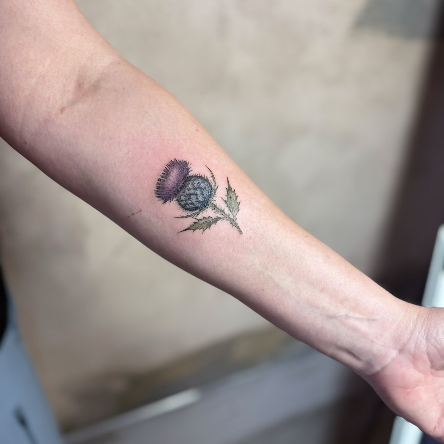 Thistle realism tattoo on the forearm by INK with Christian, Mineral Wells, Texas