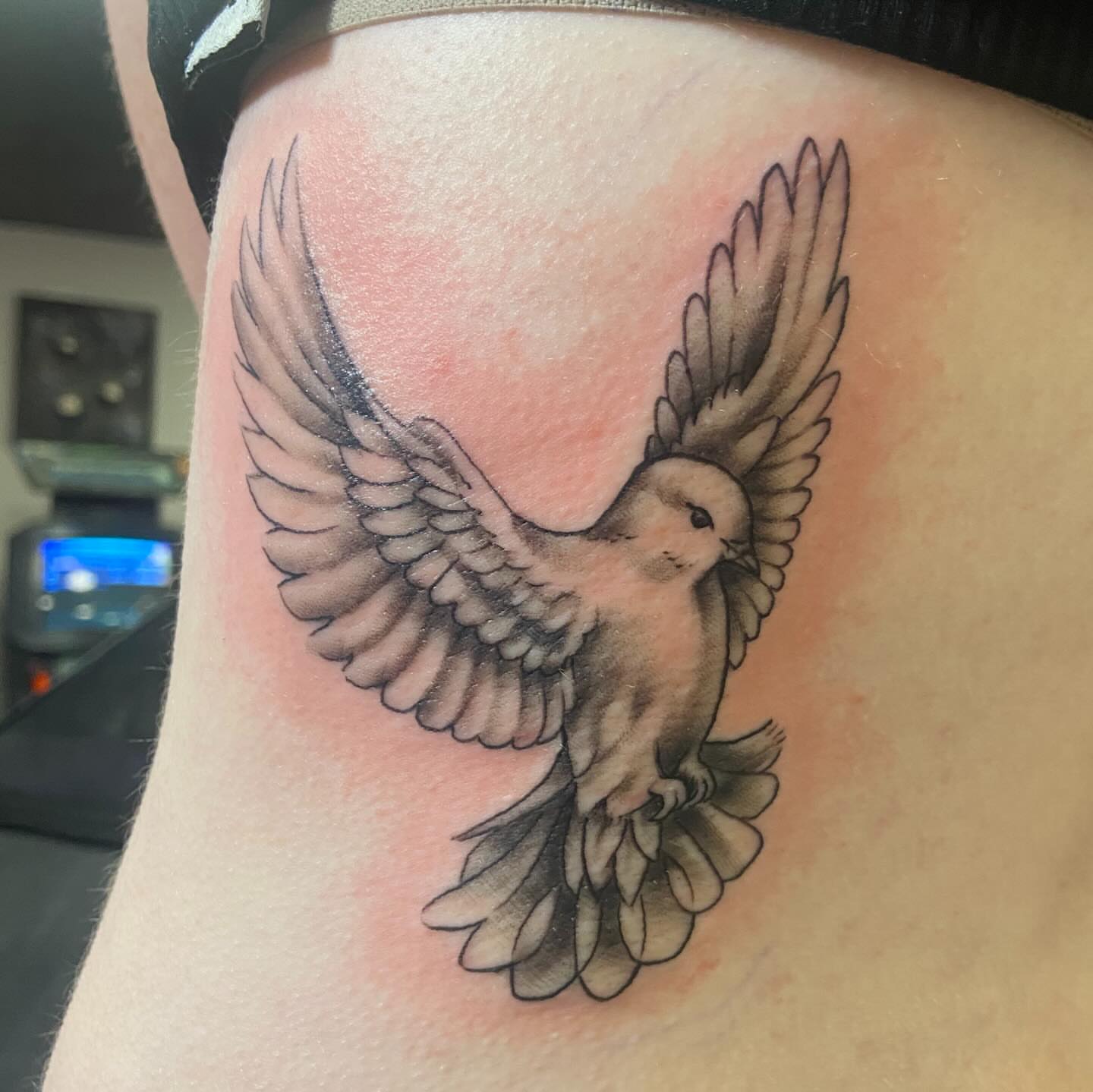 Dove realism tattoo on the thigh by Sam Hearnen, Lawrence, Kansas
