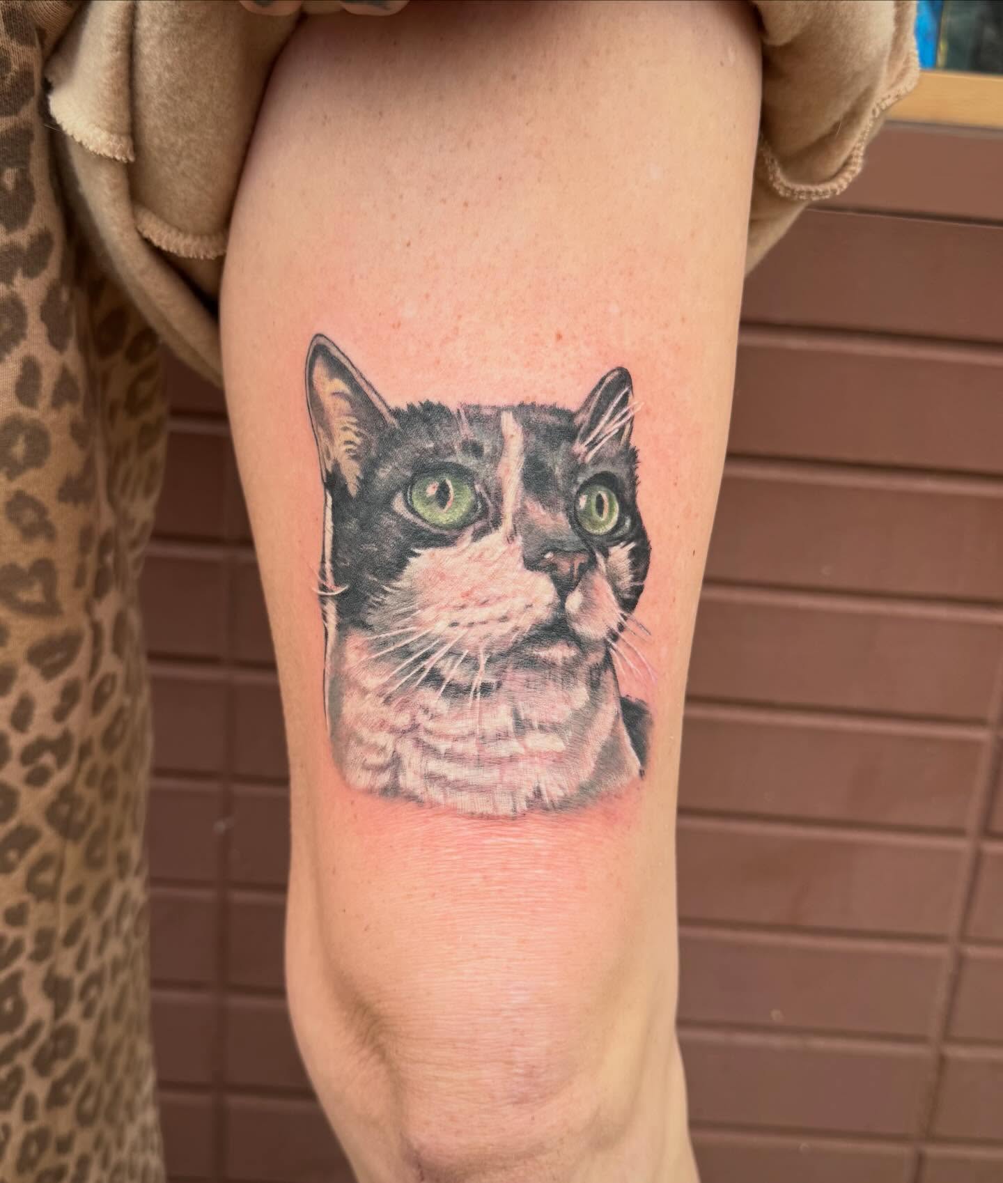 Cat realism tattoo on the forearm by Paul Hicks