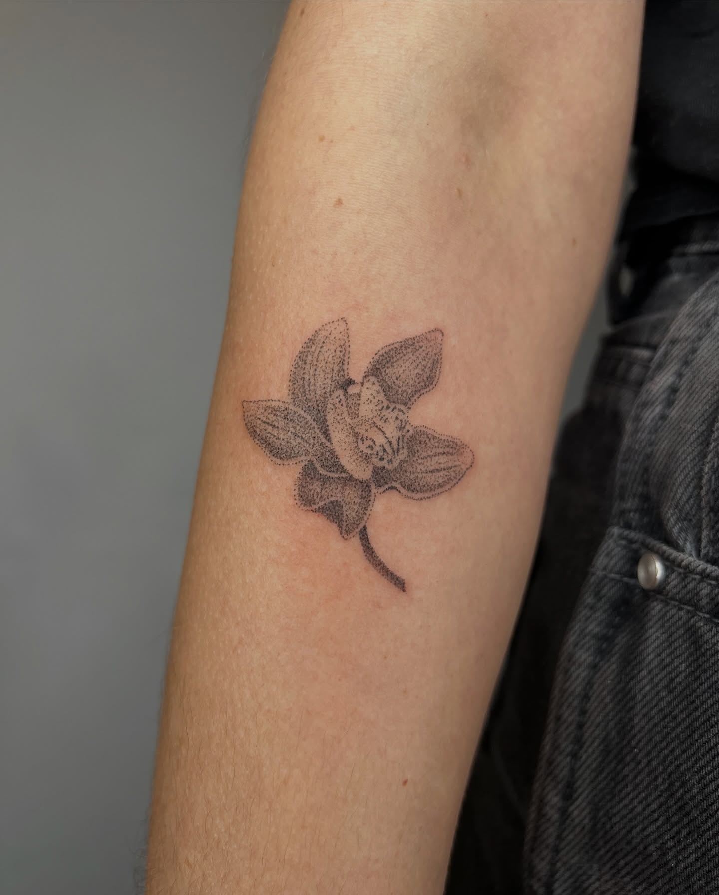 Orchid dotwork tattoo on the forearm by kait ❃ hartman