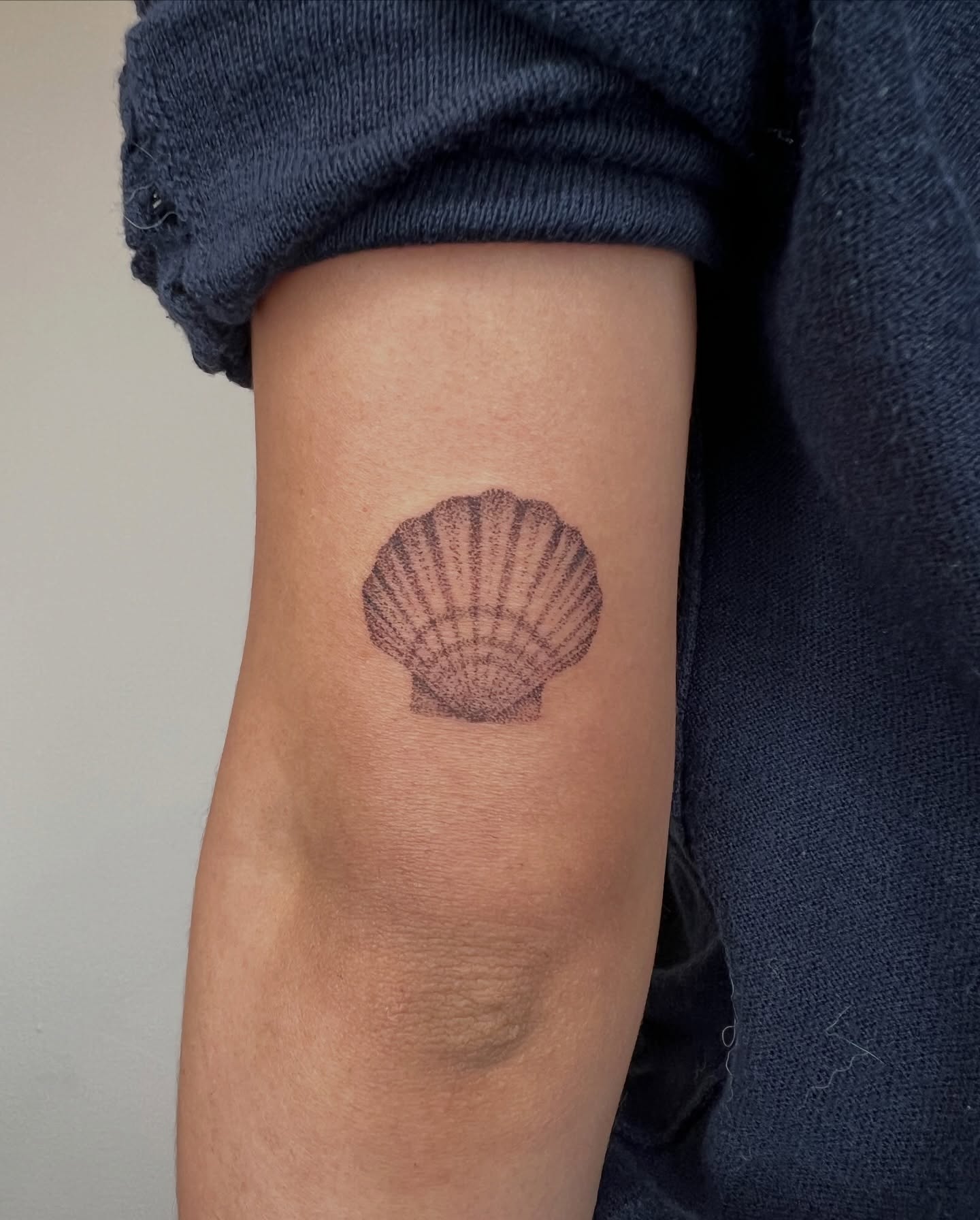 Shell dotwork tattoo on the forearm by kait ❃ hartman