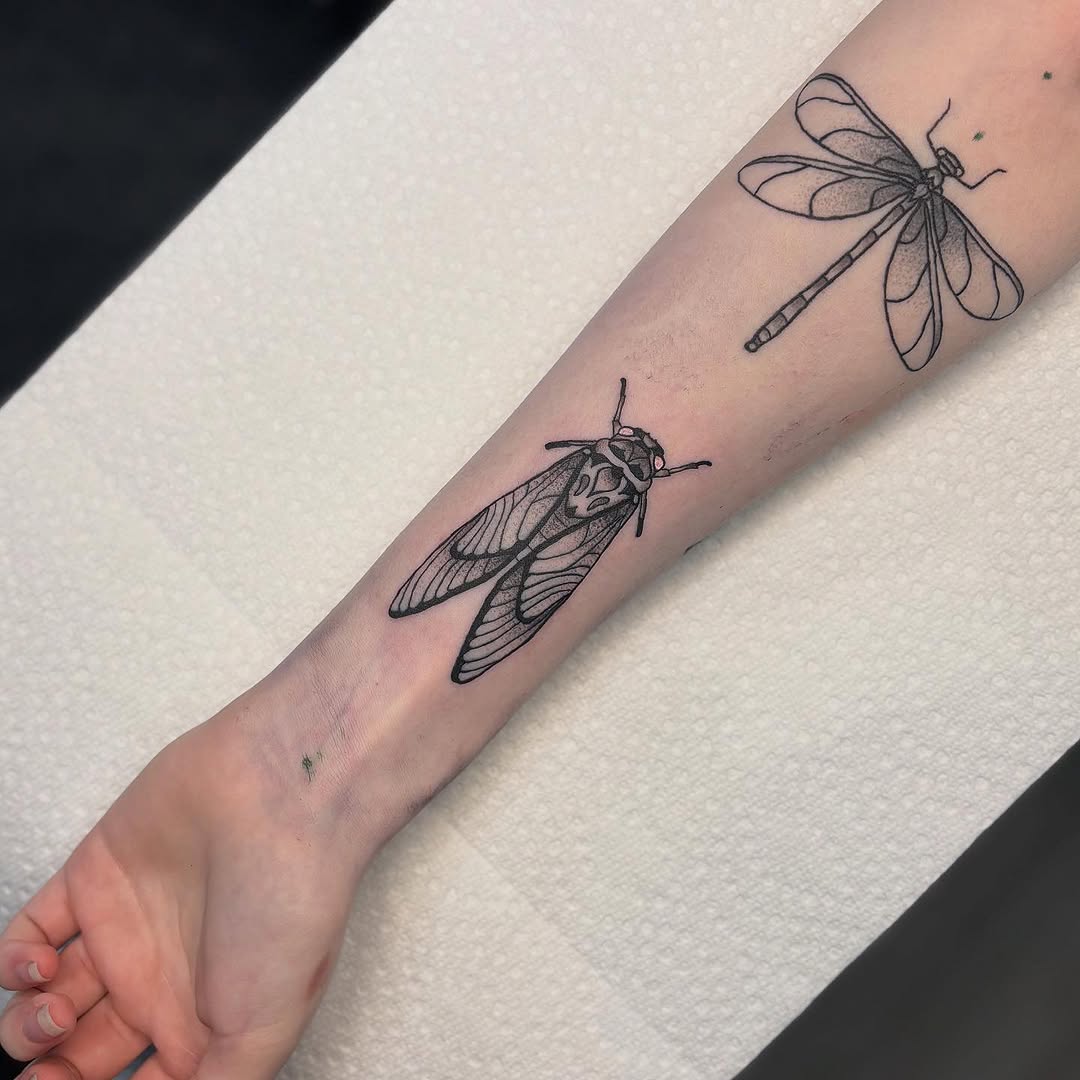 Cicada and dragonfly fine line tattoo on the forearm by ππ‘ππ―π² πππ₯π₯ππ²