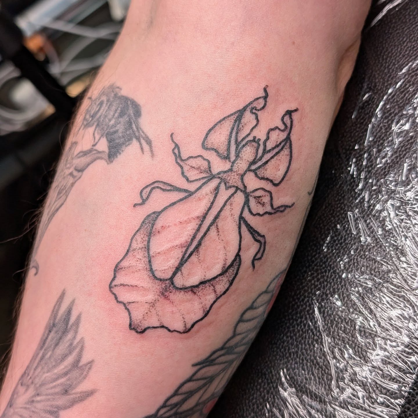 Tattoo by Caitlin J, Arlington, Texas