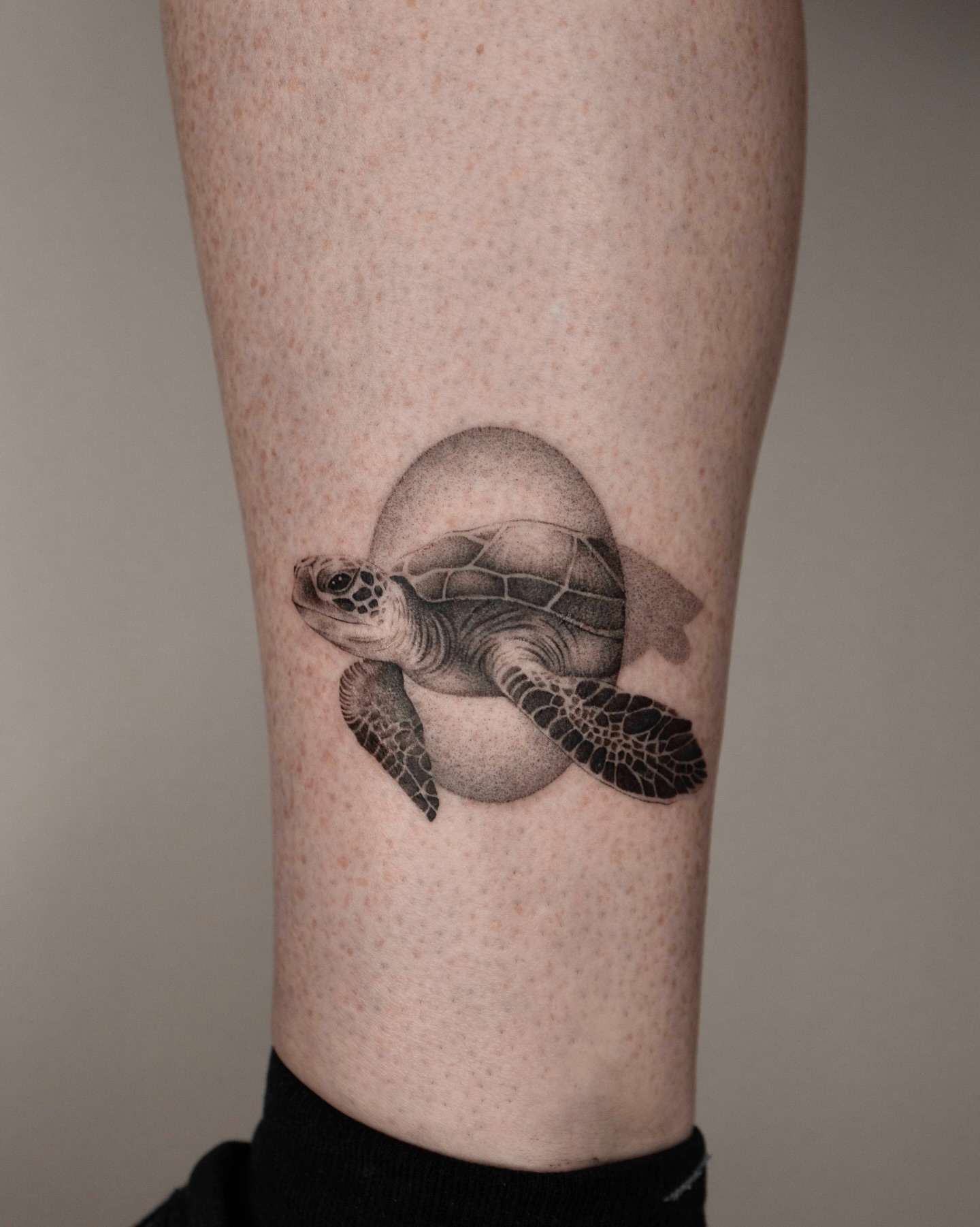Turtle dotwork tattoo on the forearm by t y, t a t t o o a r t i s t