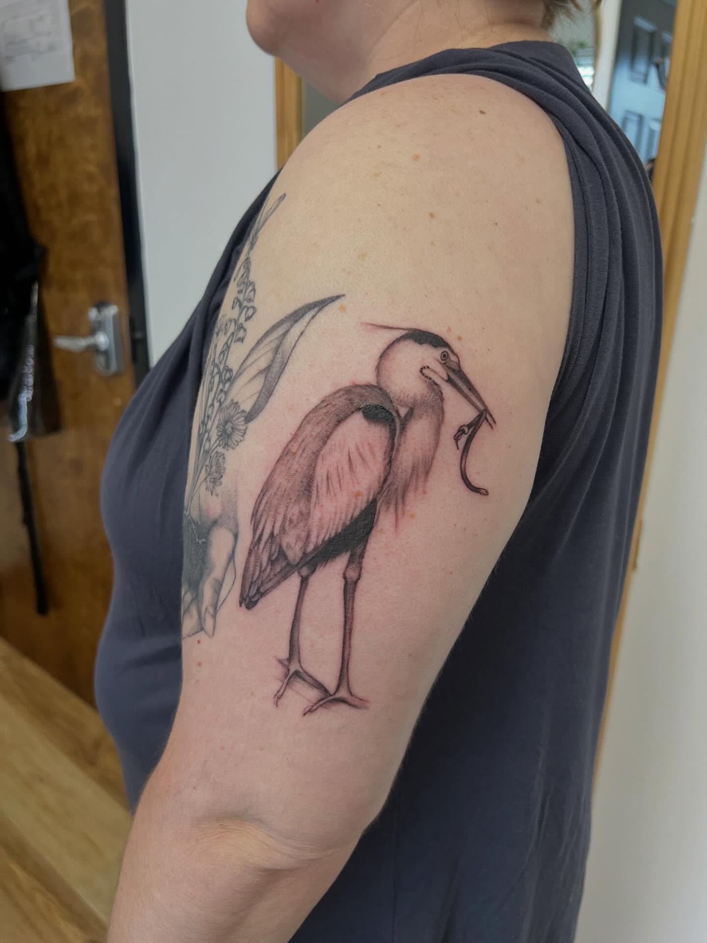 Heron realism tattoo on the upper arm by Presley Tattoos, Murfreesboro, Tennessee