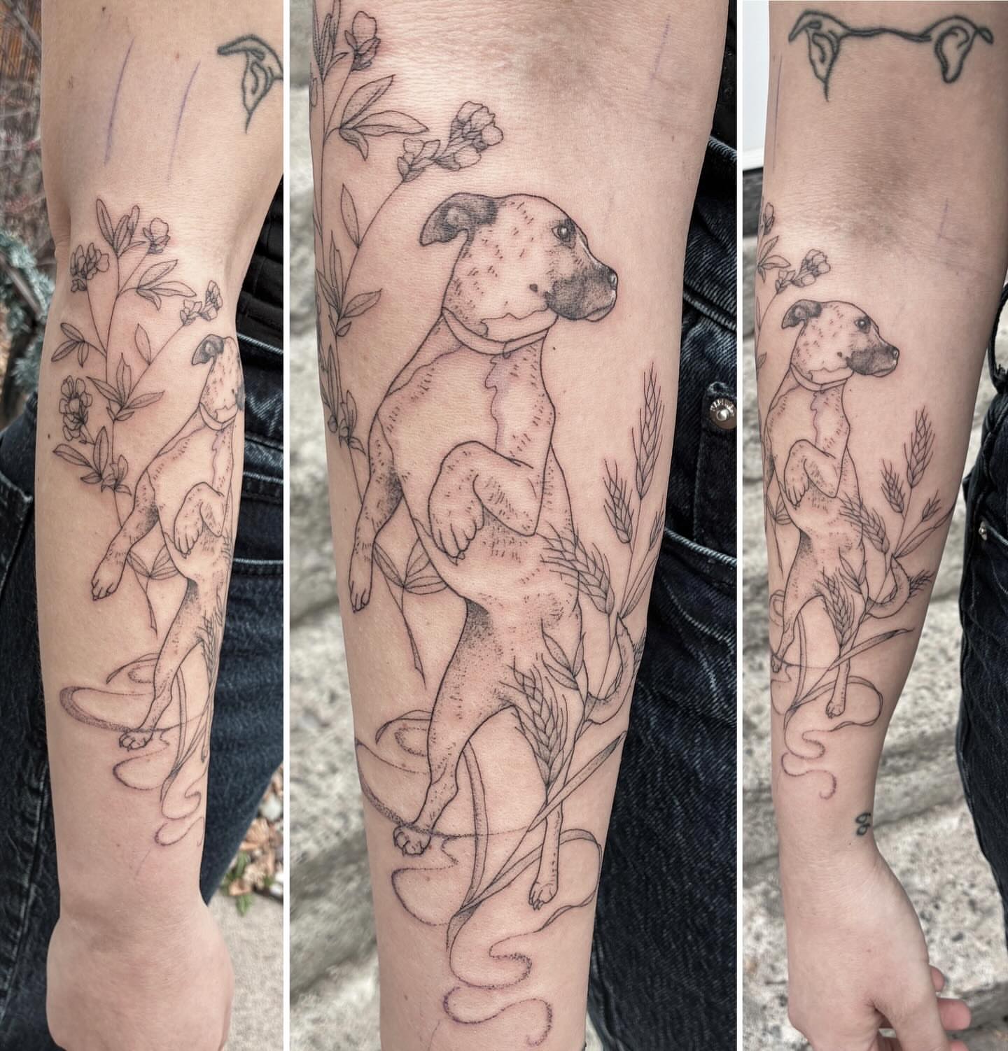 Dog and floral elements realism tattoo on the forearm by Linzi Hungerford, Bozeman, Montana