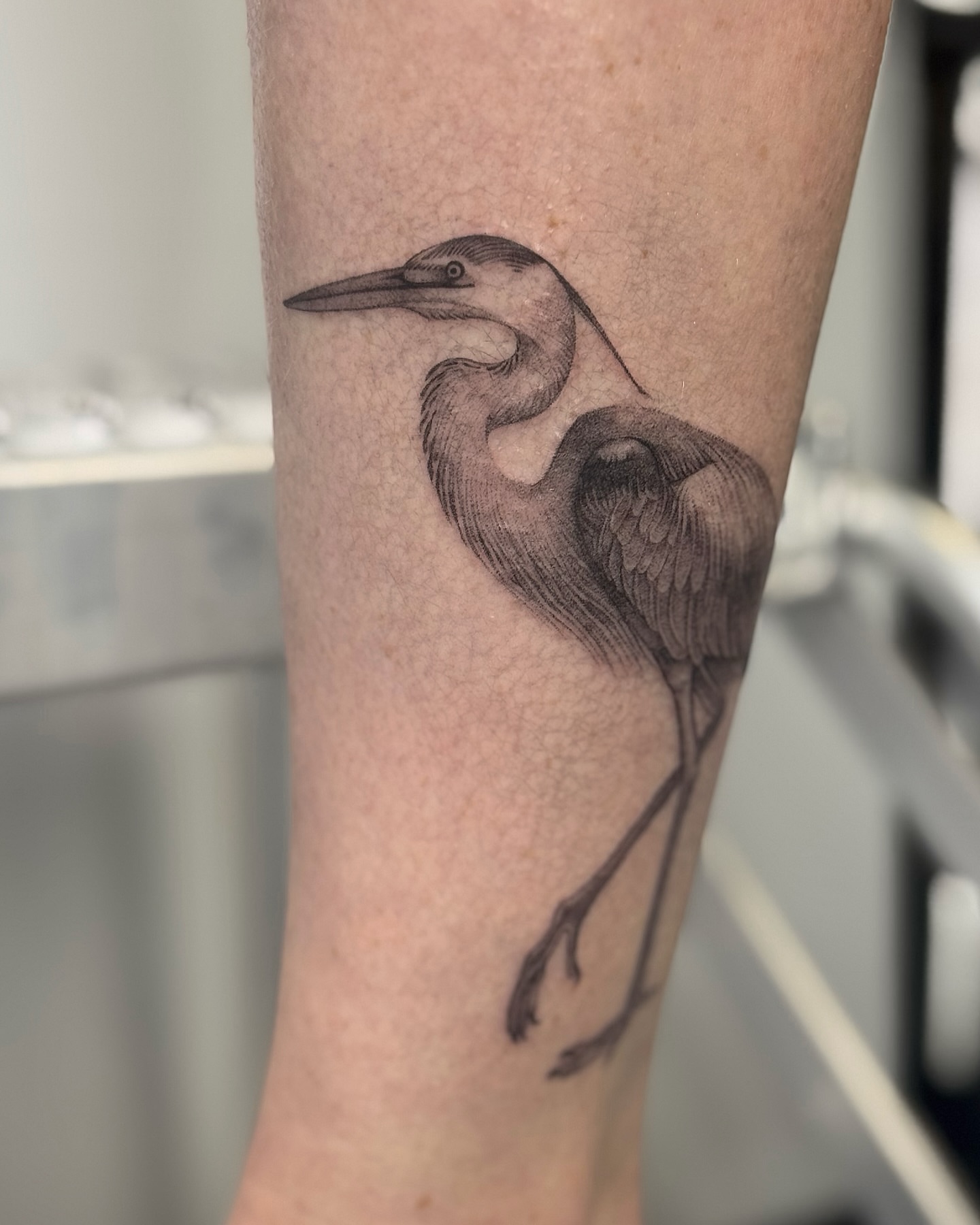 Heron black and grey tattoo on the forearm by Lea Burkard, Berkeley, California