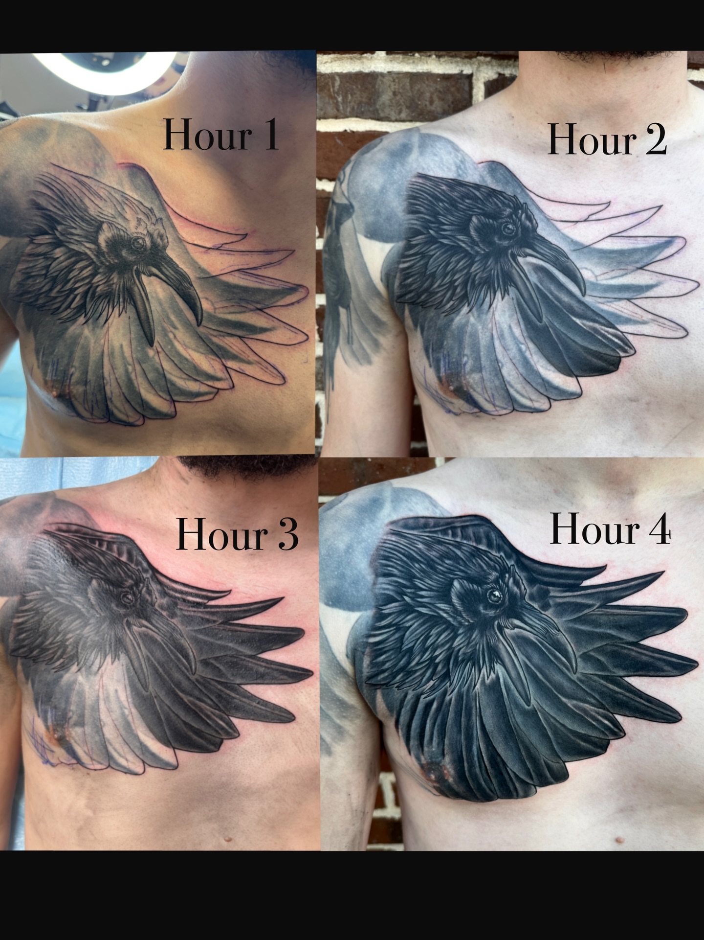 Crow realism tattoo on the chest by @mexcellent_tattoos