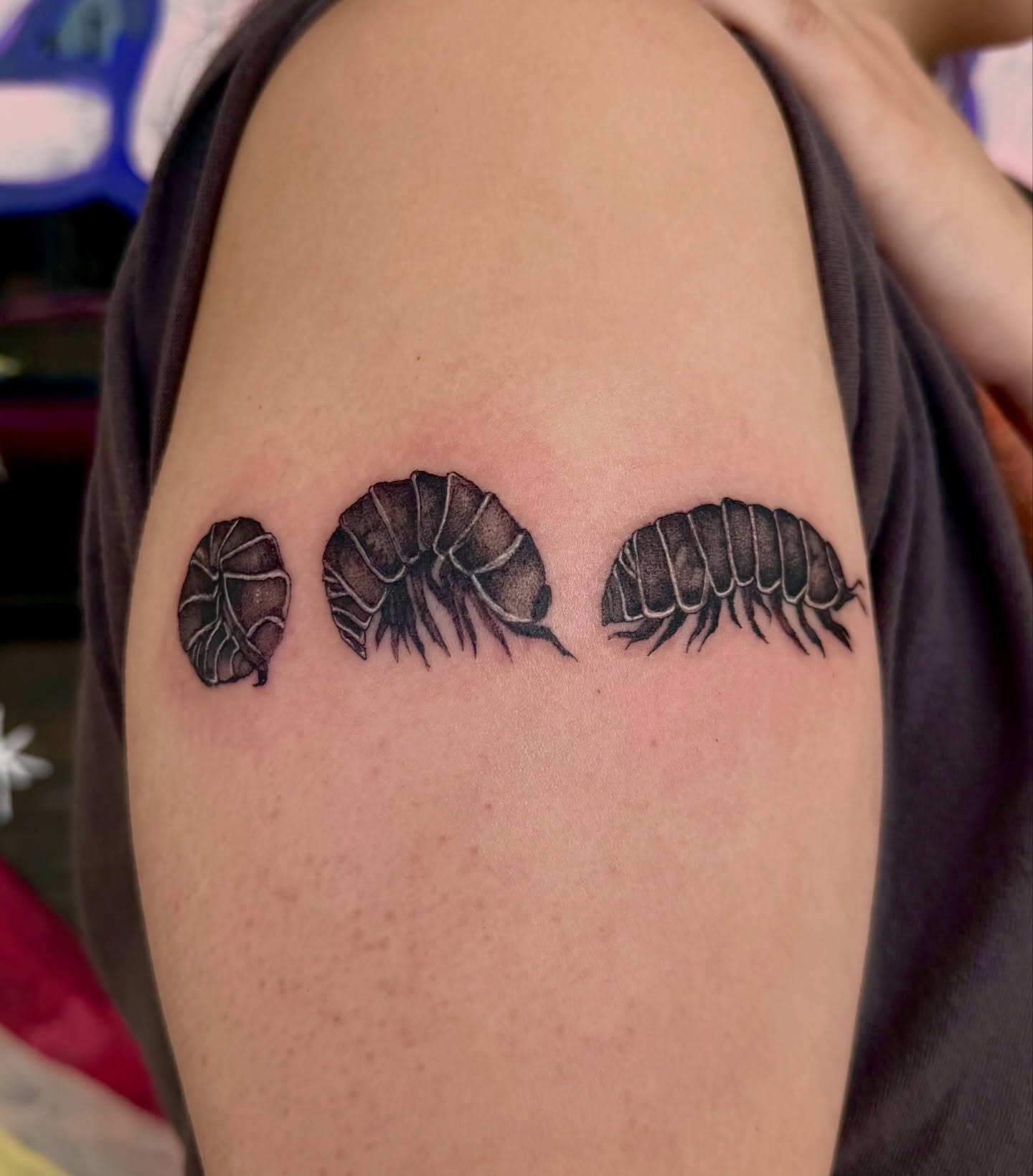 Tattoo by @creatureoutside — black_and_grey