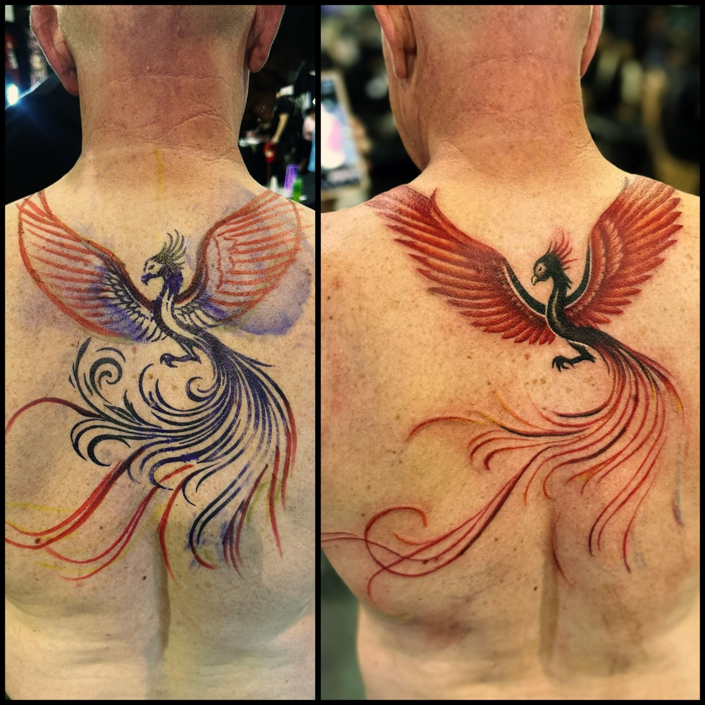 Phoenix new school tattoo on the back by Joe 💭👁