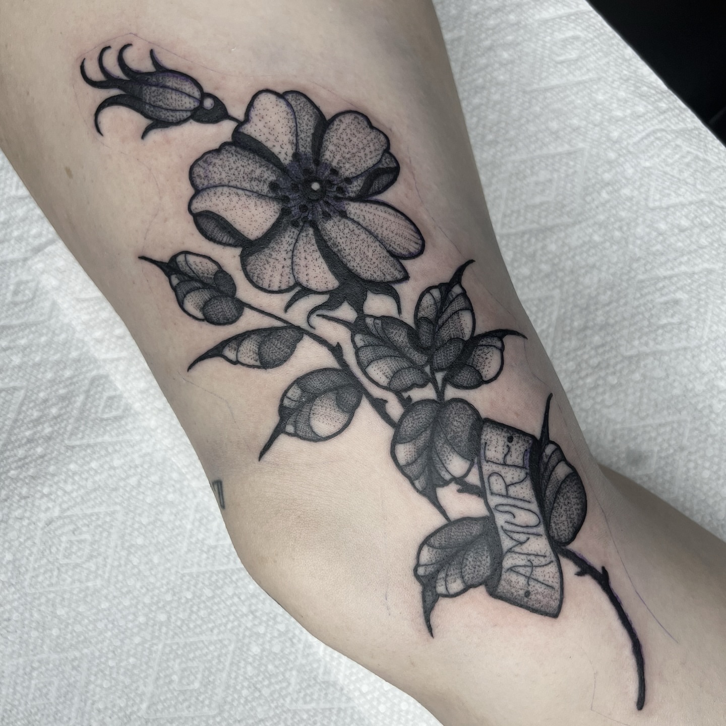 Tattoo by @themeganclifton — dotwork, black_and_grey