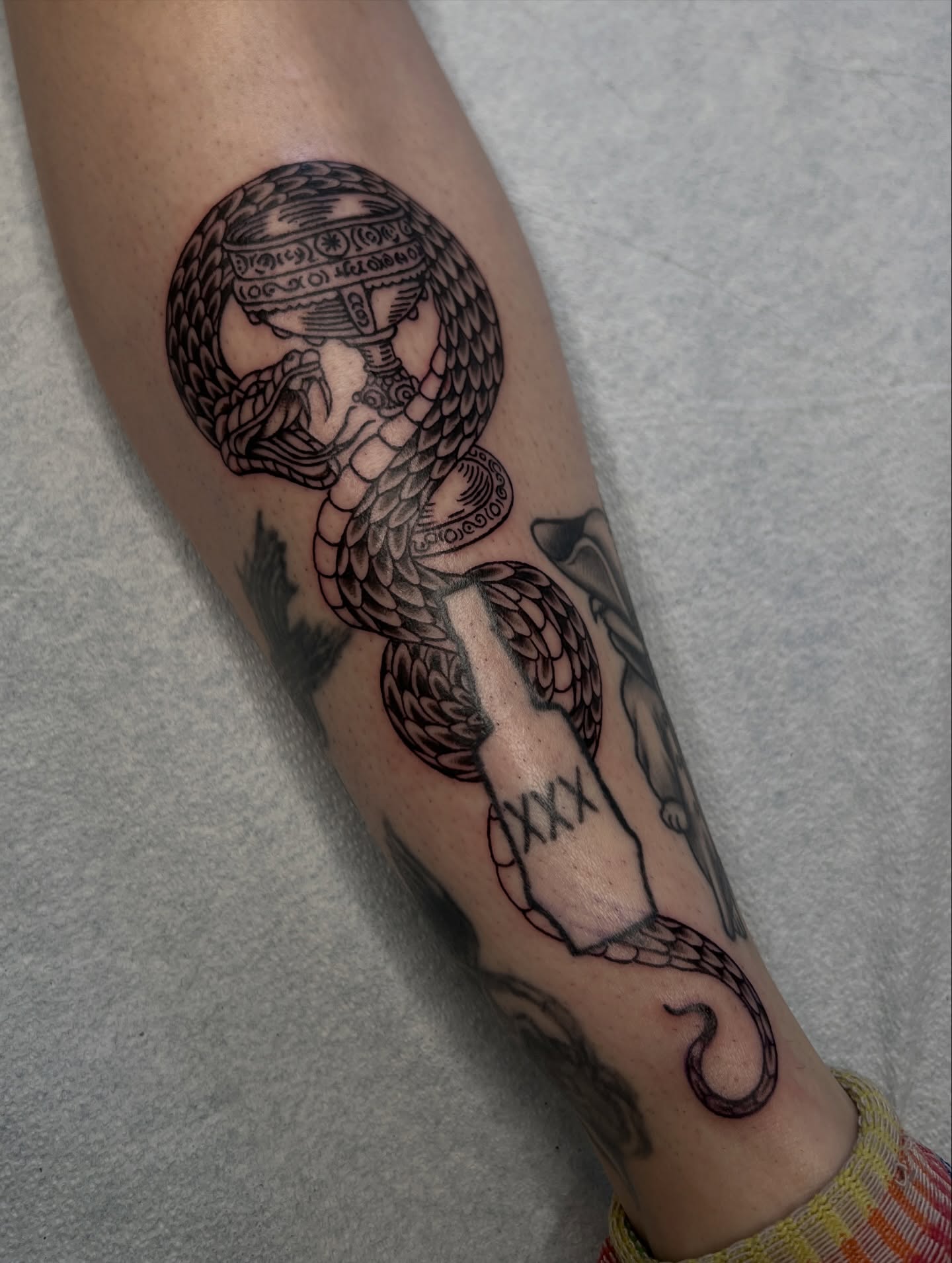 Snake and shield black and grey tattoo on the forearm by @syrenbier, San Francisco, California