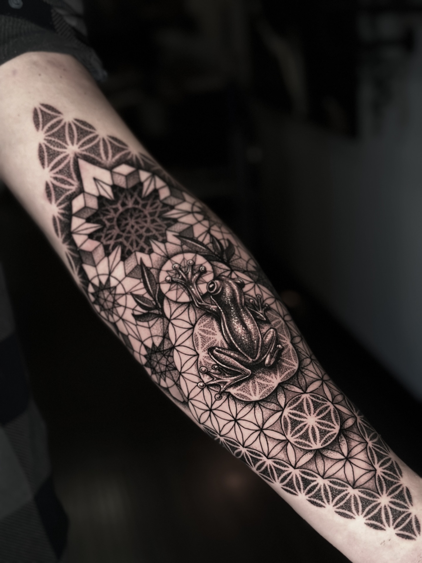 Frog geometric tattoo on the forearm by Nick Fierro
