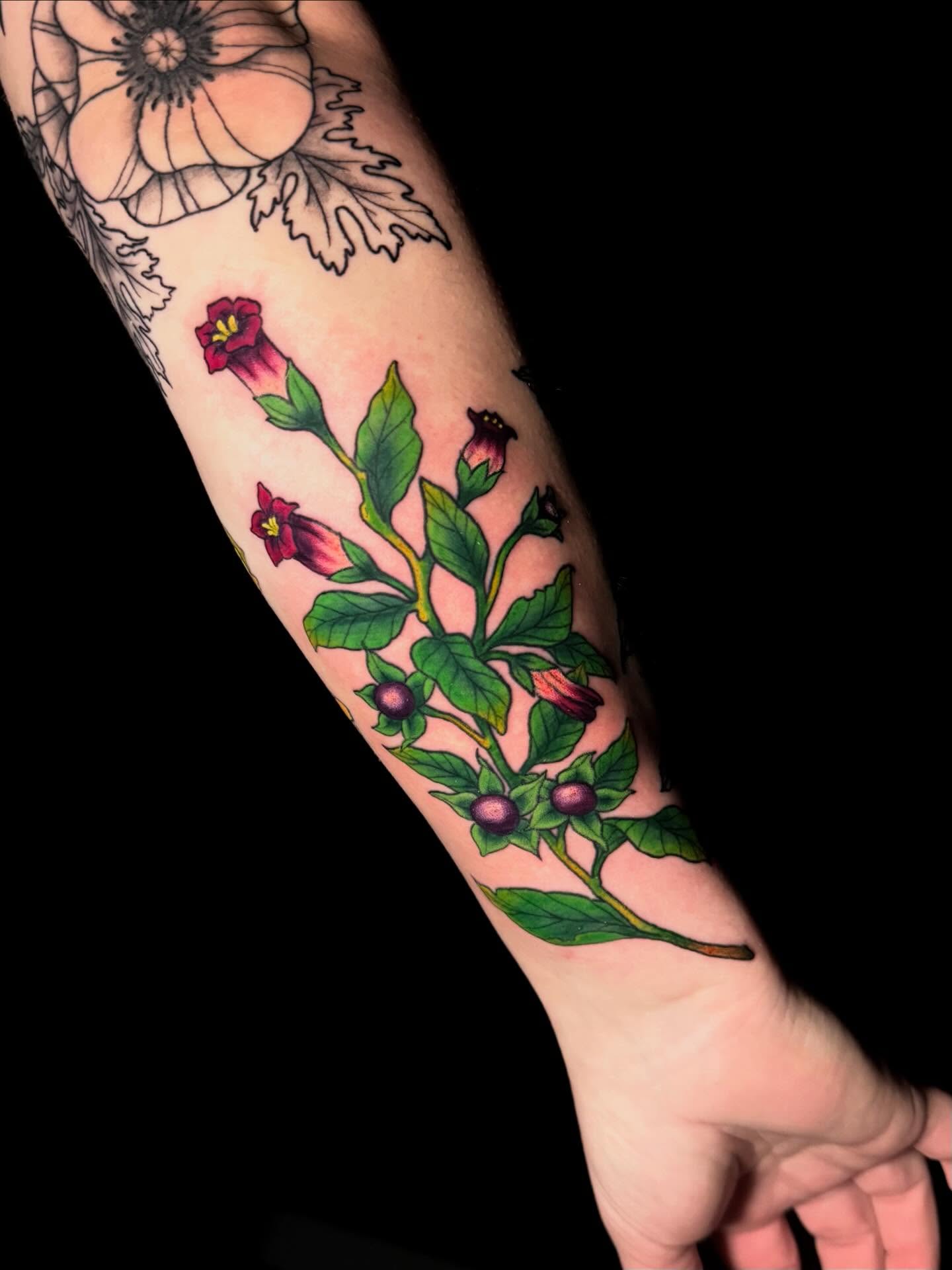 Botanical flowers new school tattoo on the forearm by Taylor Kay 🌿