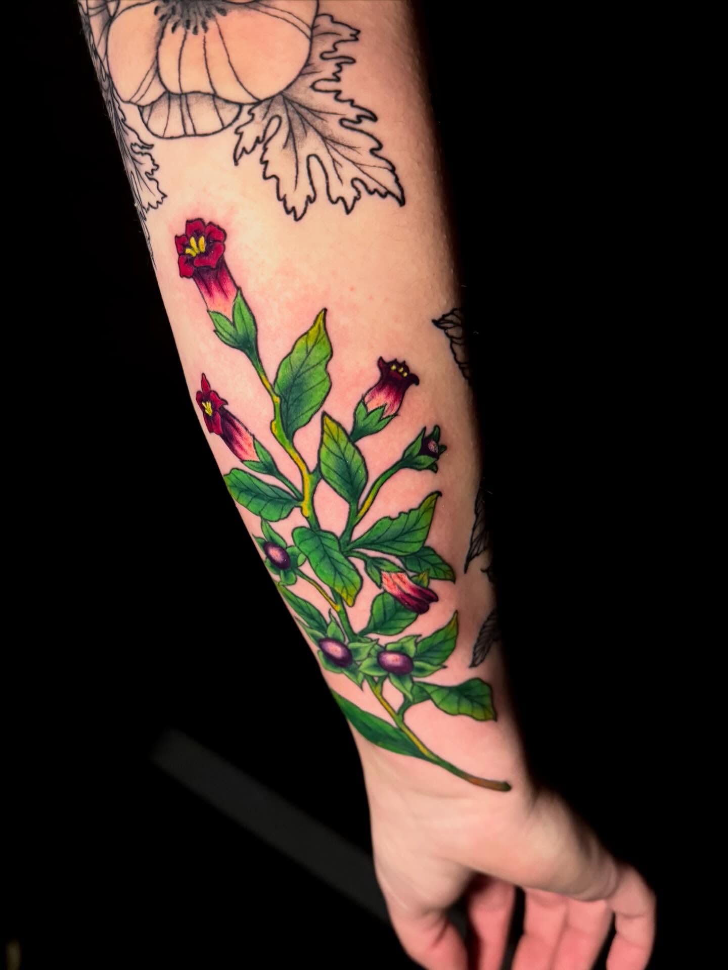 Flower vine realism tattoo on the forearm by Taylor Kay 🌿