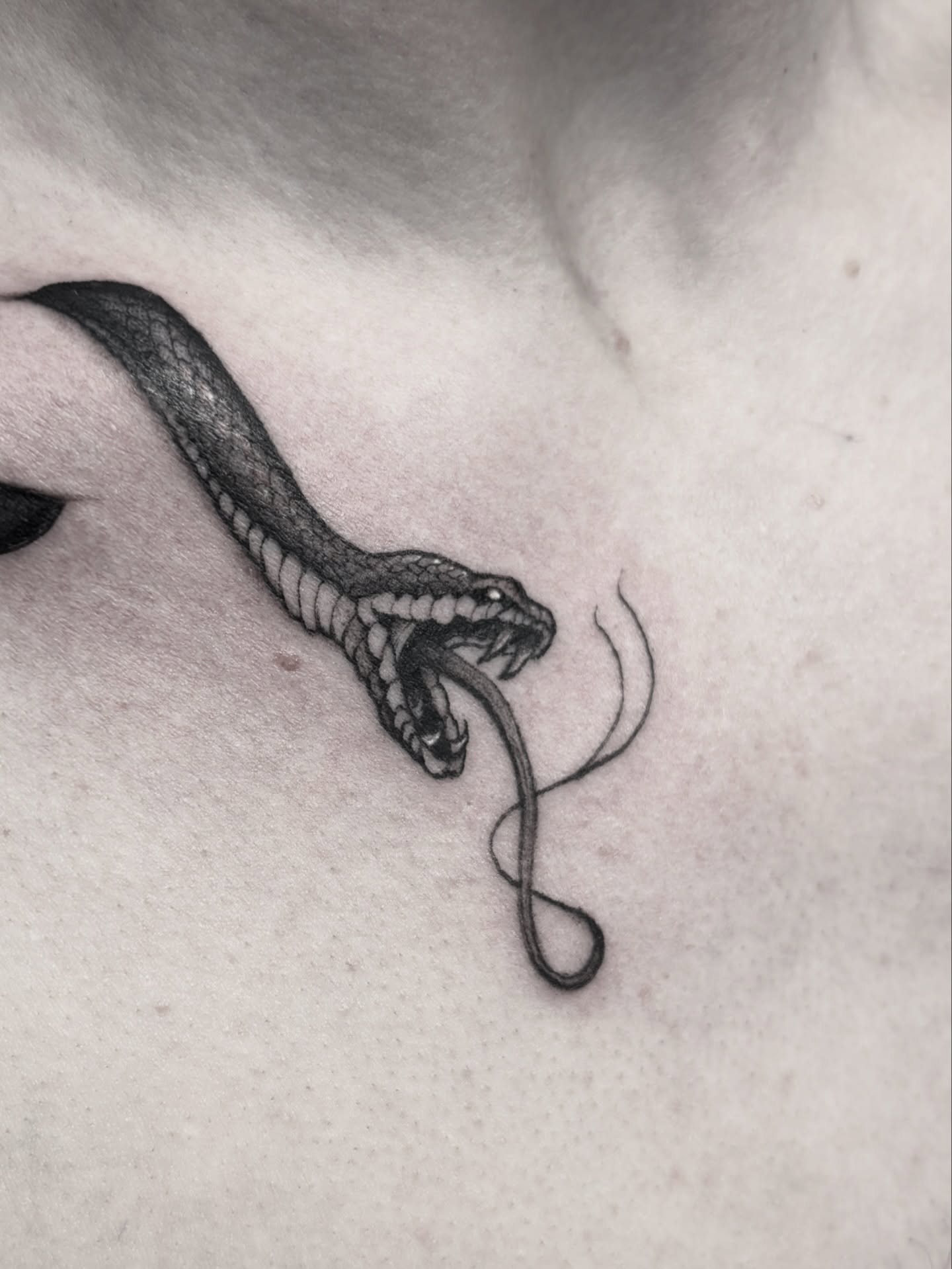 Snake black and grey tattoo on the neck by MJ Saunders