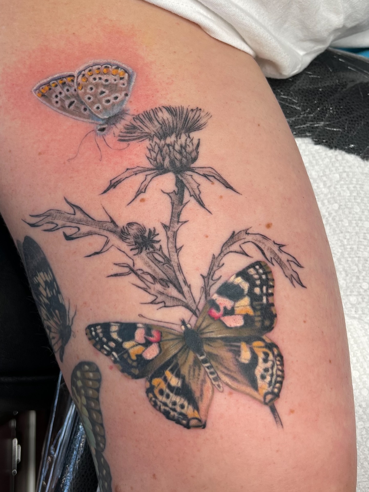 Tattoo by @bwood_tattoo โ realism, dotwork