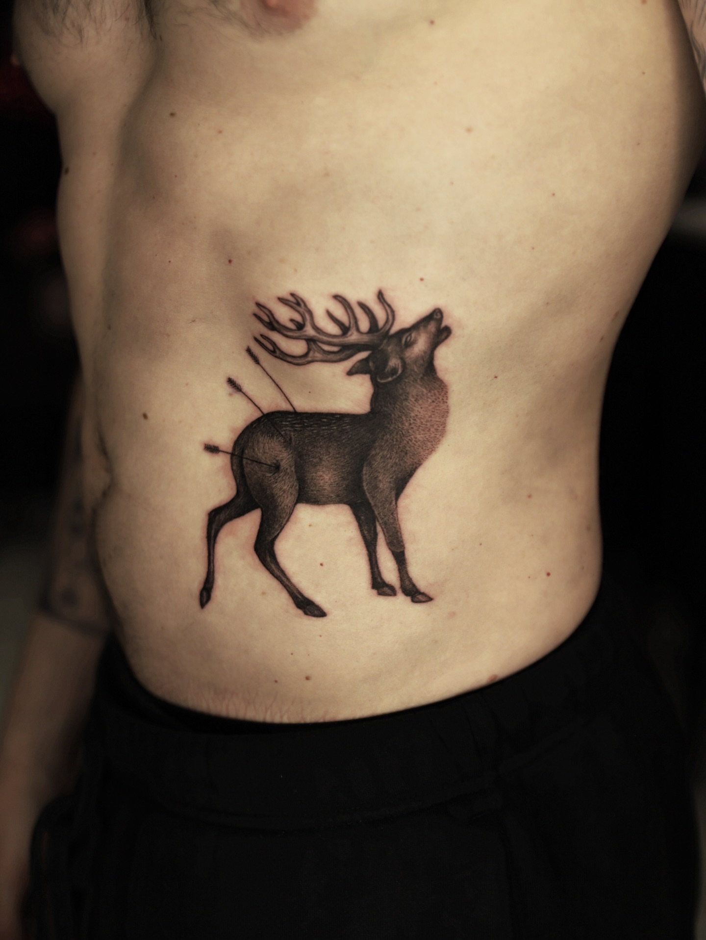 Deer black and grey tattoo on the ribs by Las Vegas tattoo