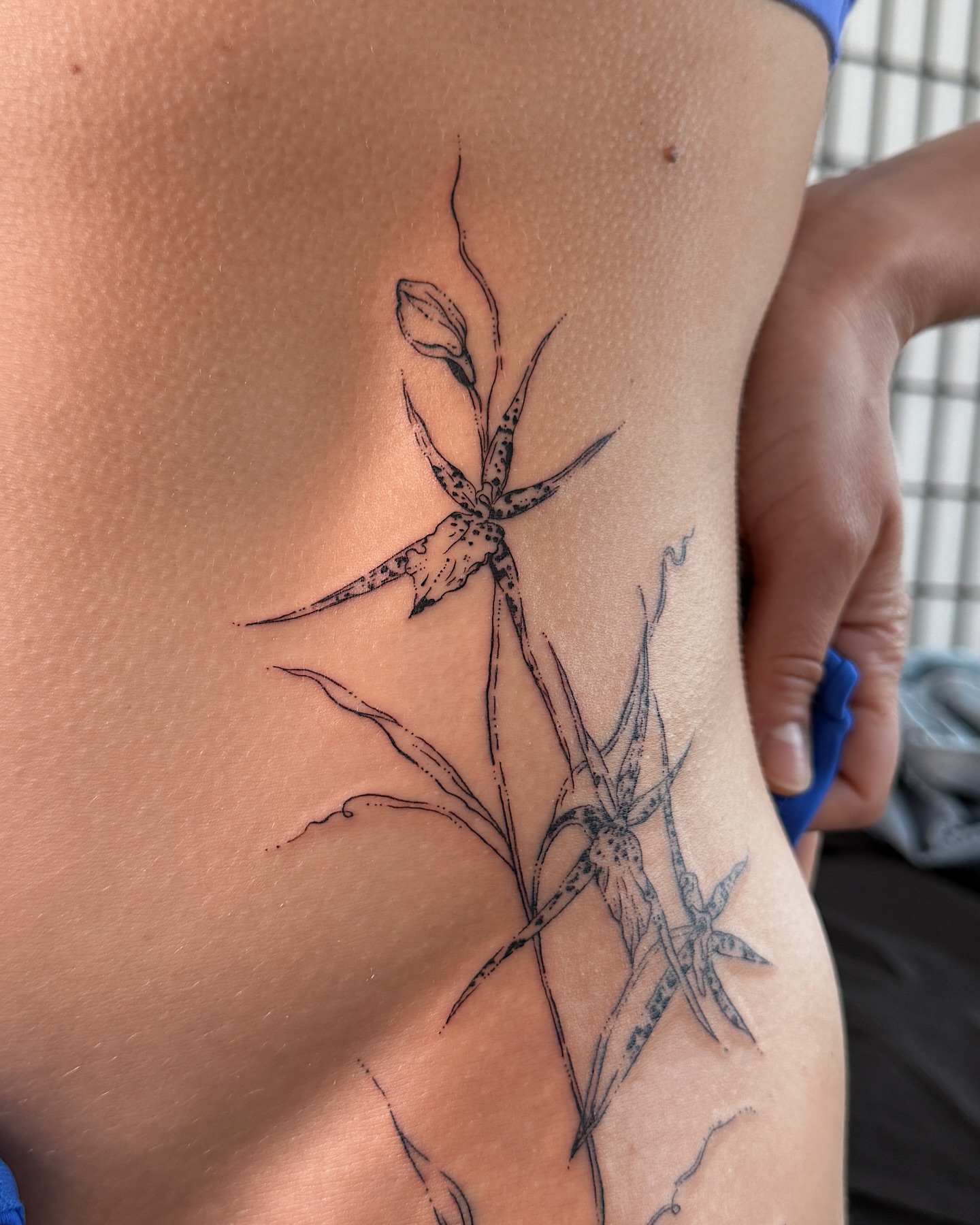 Orchid black and grey tattoo on the ribs by Inky Apricot, Austin, Texas