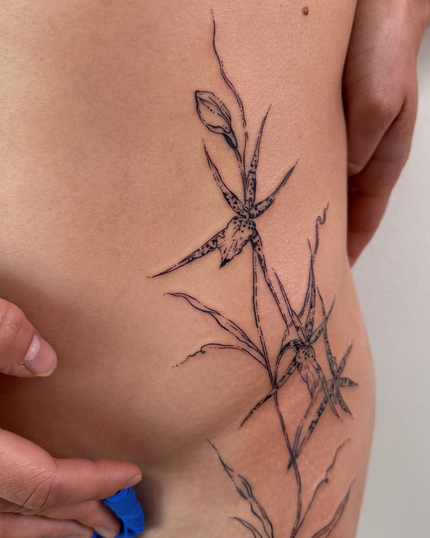 Orchid black and grey tattoo on the thigh by Inky Apricot, Austin, Texas