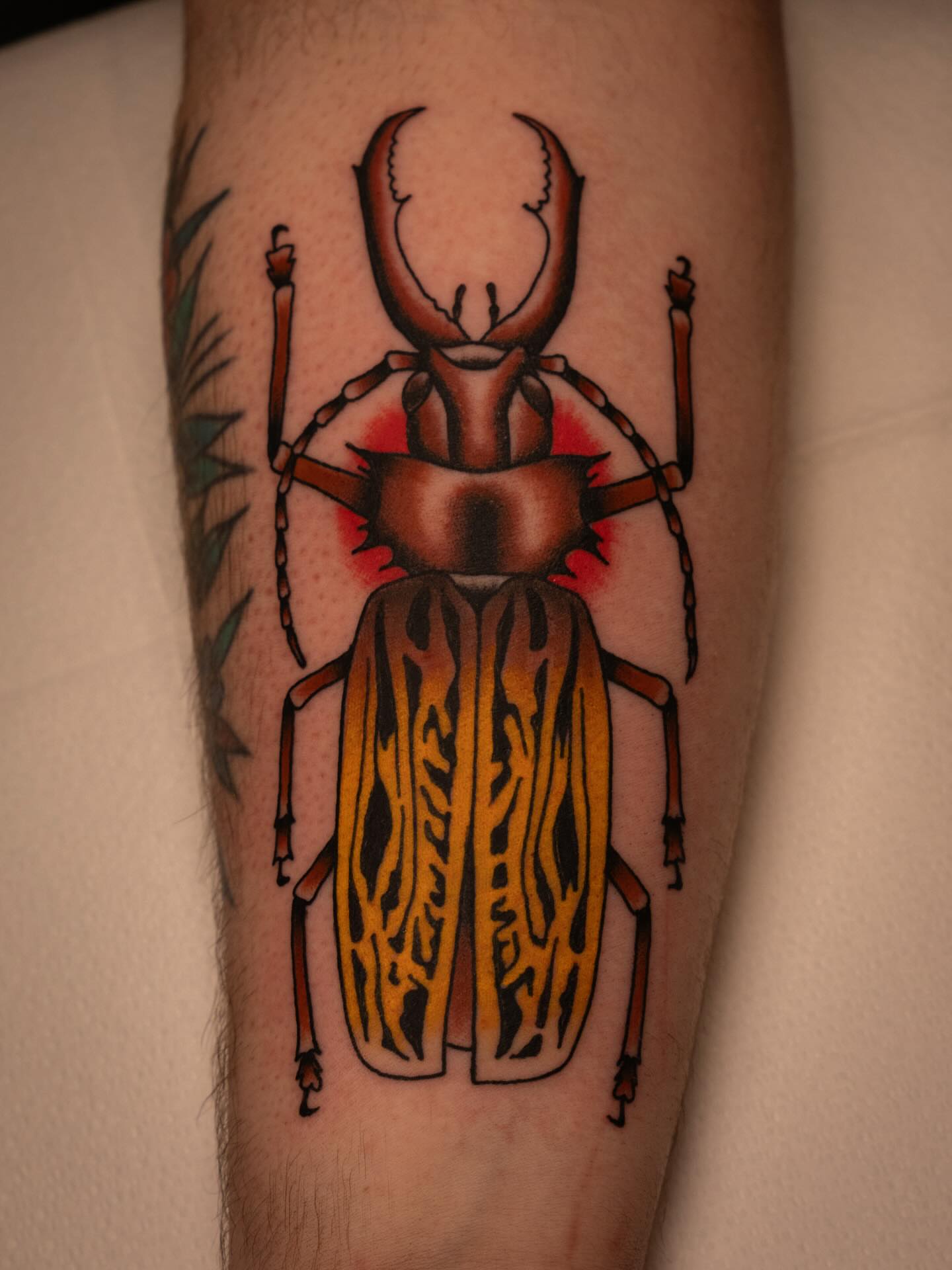 Beetle realism tattoo on the forearm by Justin Rakowski