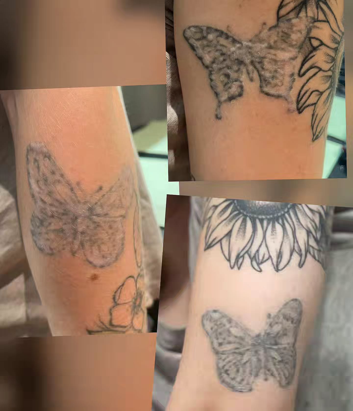 Butterfly black and grey tattoo on the forearm by Solstice Tattoos by Savannah Sadler (future, Salisbury, North Carolina
