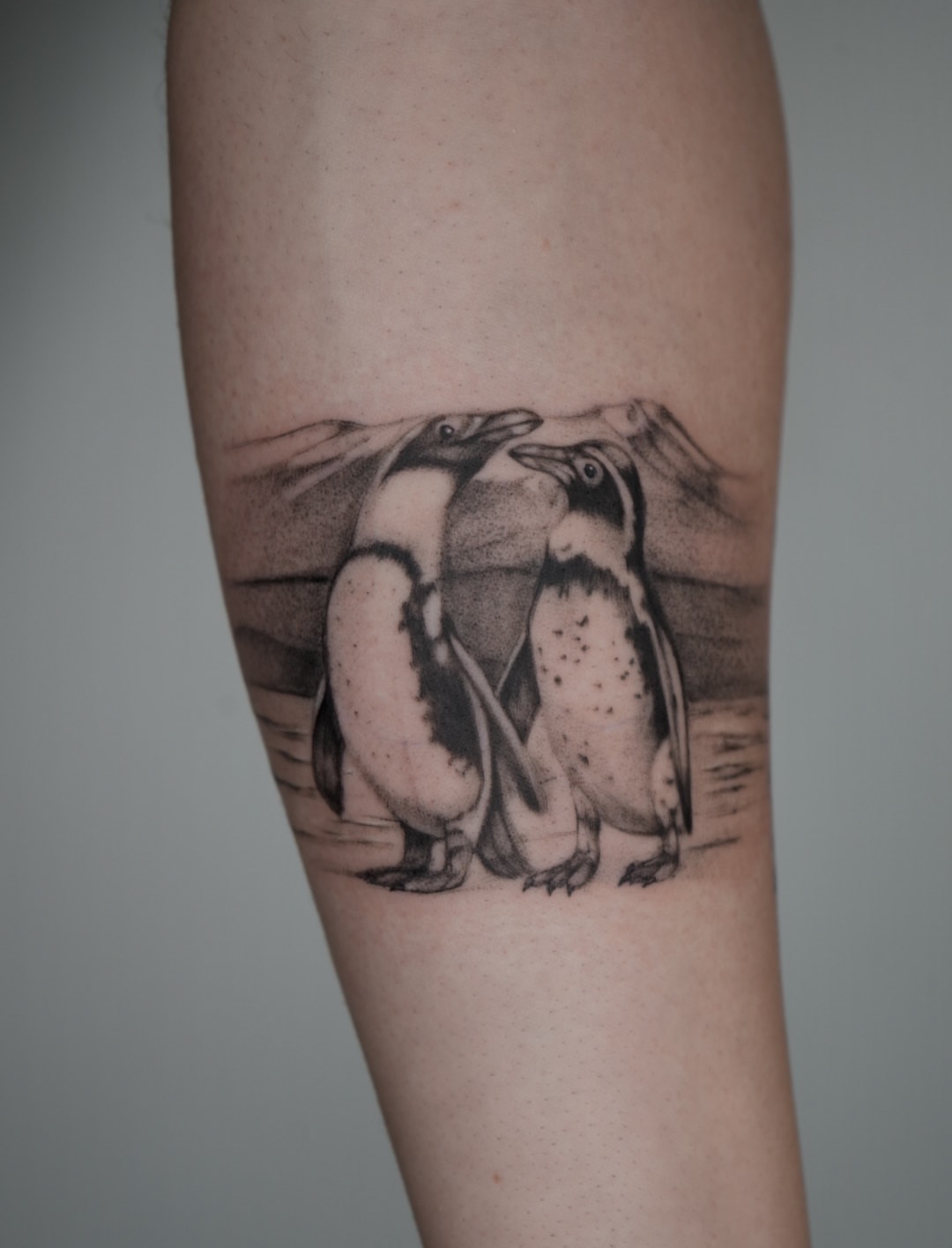 Penguins dotwork tattoo on the forearm by Blackwork & microrealism tattoos