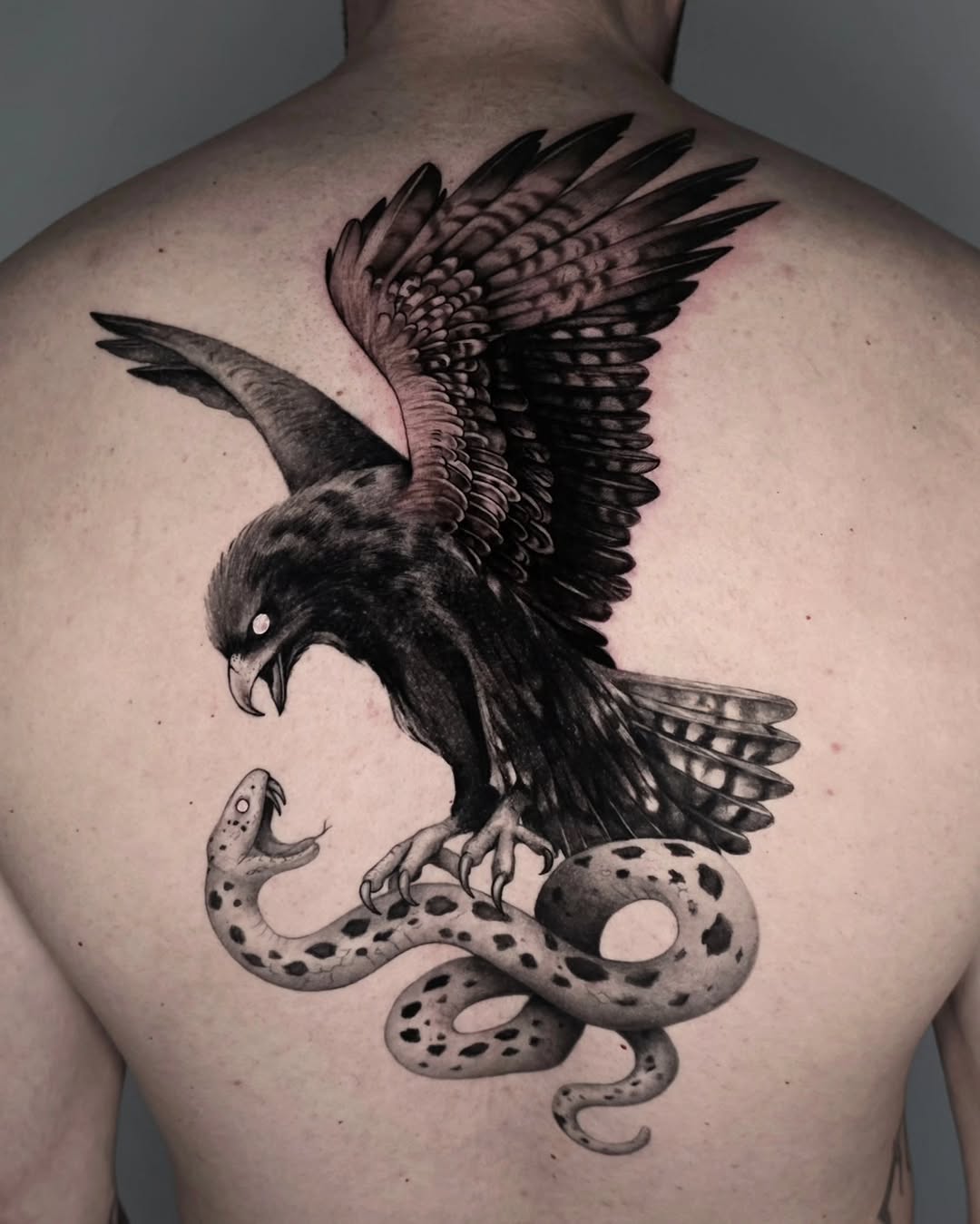 Eagle attacking snake realism tattoo on the back by ʙʀɪᴀɴɴᴀ 𝒁𝑶𝑴𝑩𝑹𝑰𝑬 ᴛᴀᴛᴛᴏᴏꜱ