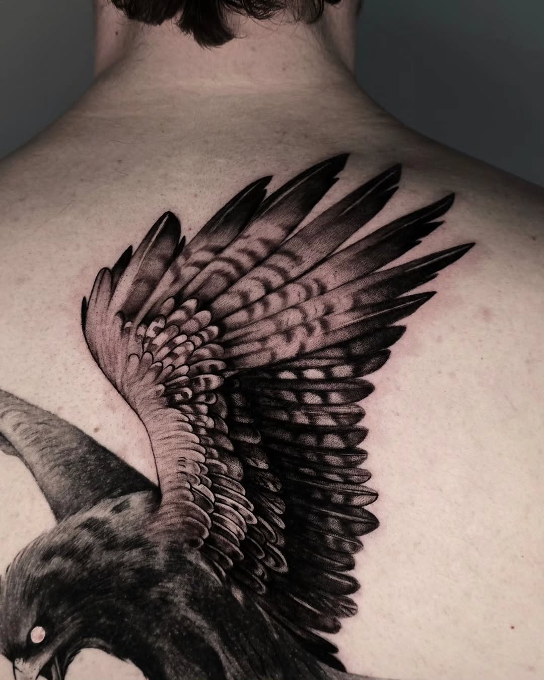 Eagle wing and head fine line tattoo on the back by ʙʀɪᴀɴɴᴀ 𝒁𝑶𝑴𝑩𝑹𝑰𝑬 ᴛᴀᴛᴛᴏᴏꜱ
