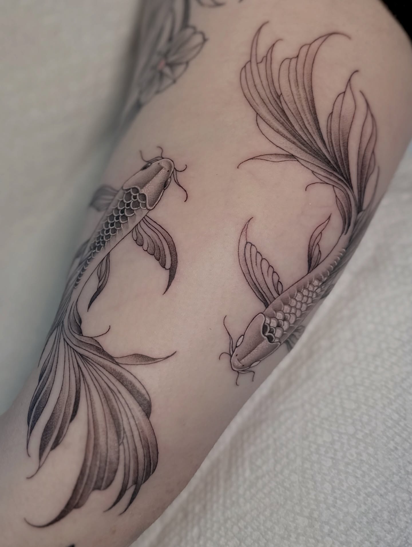 Koi fish black and grey tattoo on the forearm by Ghost