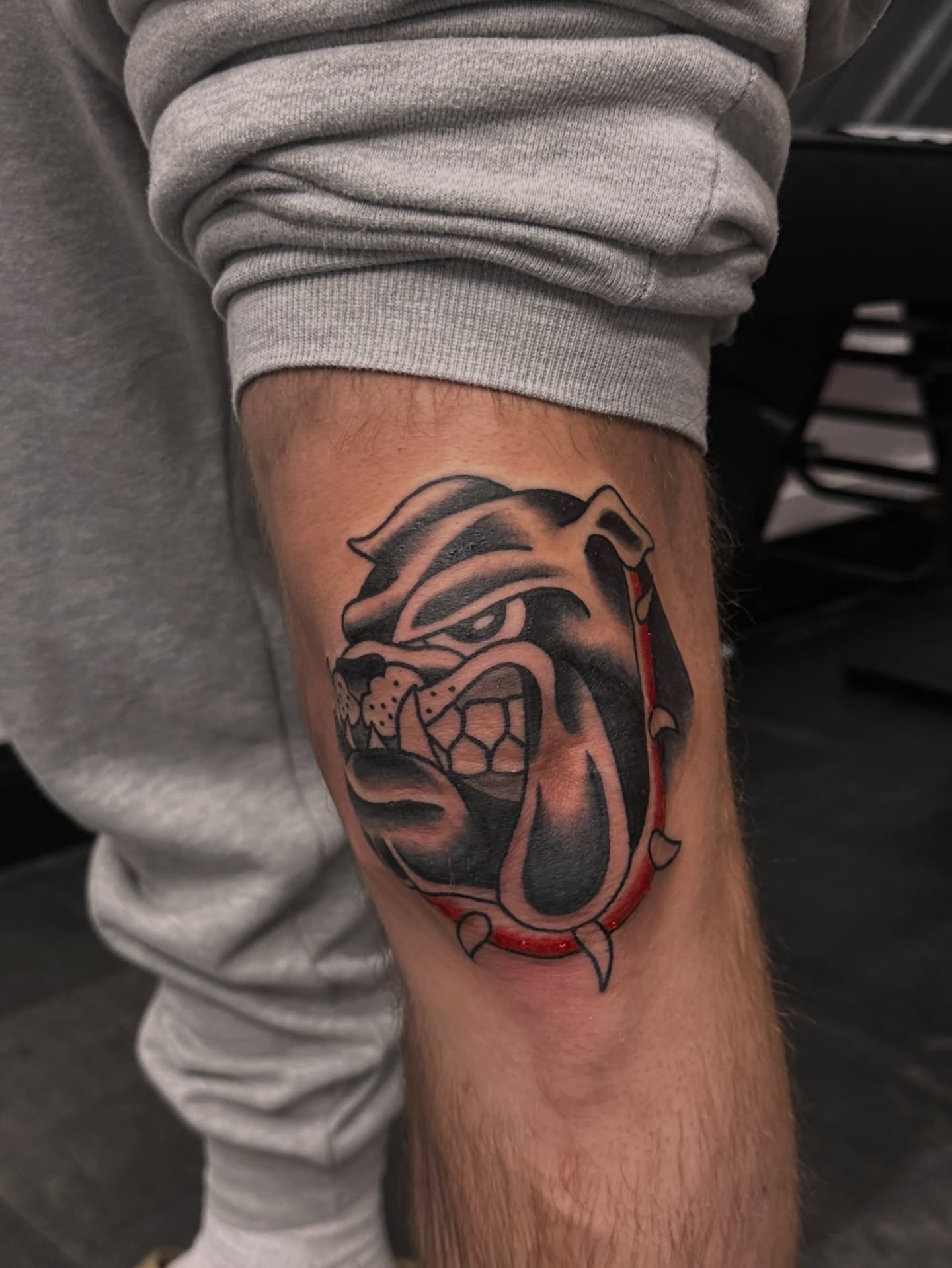 Bulldog black and grey tattoo on the forearm by Drew’s Tattoos (NH)