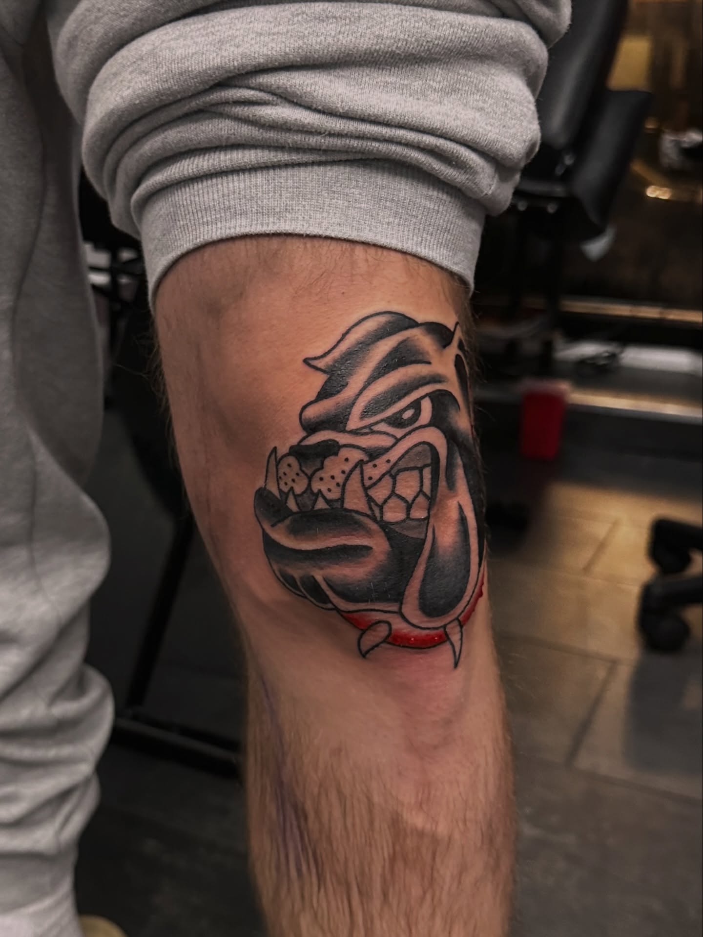 Bulldog American traditional tattoo on the forearm by Drew’s Tattoos (NH)