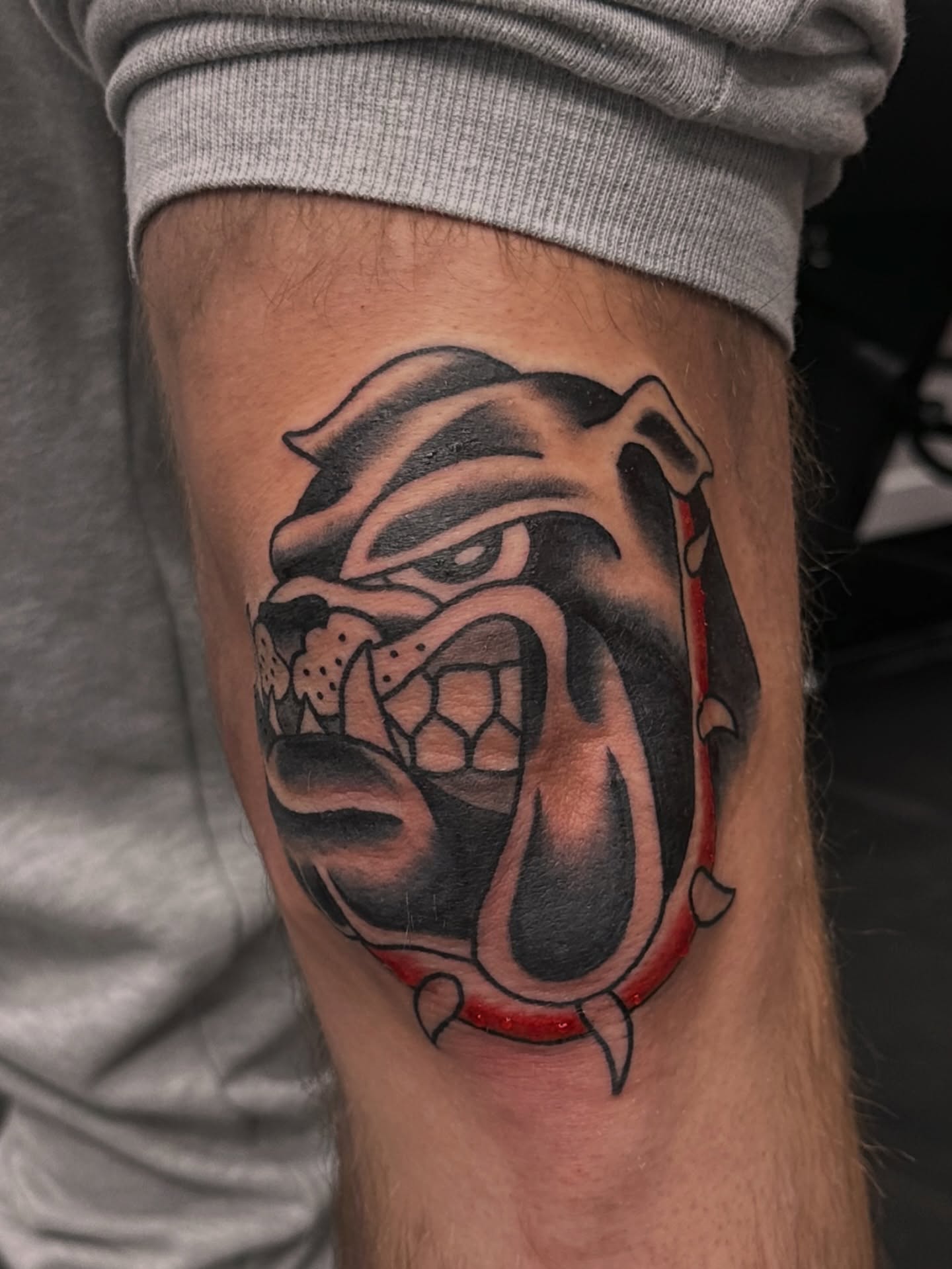 Bulldog black and grey tattoo on the forearm by Drew’s Tattoos (NH)