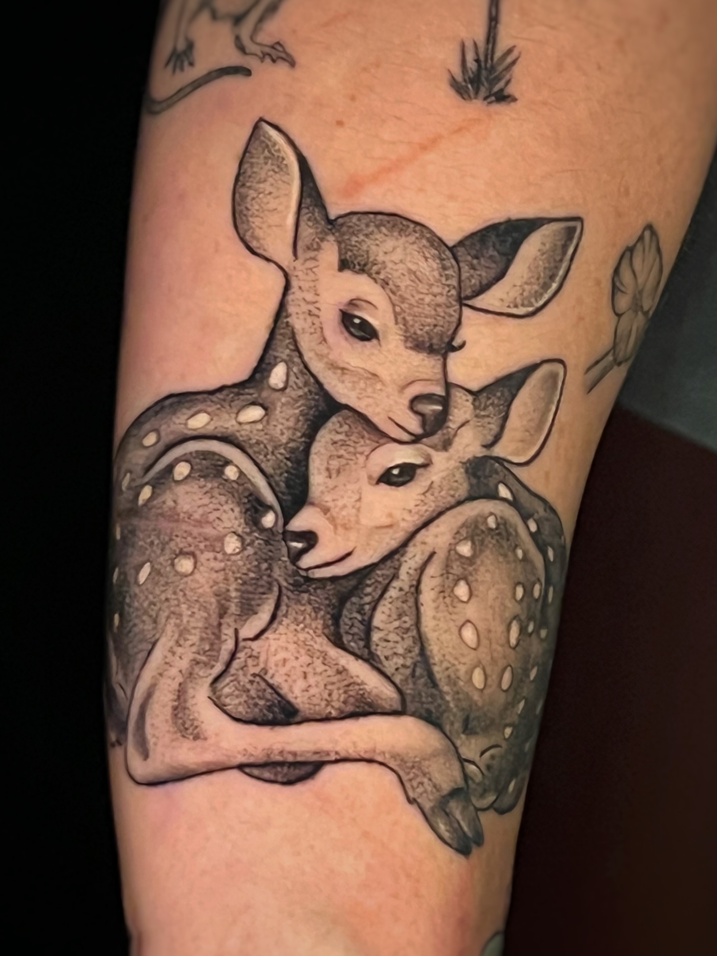Deer dotwork tattoo on the forearm by Michelle Pomerantz 🌼 Portland Tattoo Artist