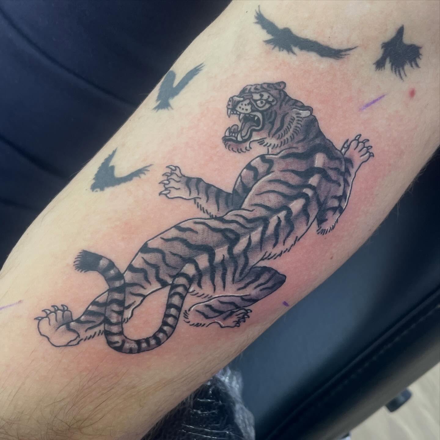 Tiger black and grey tattoo on the forearm by elly, Oakham