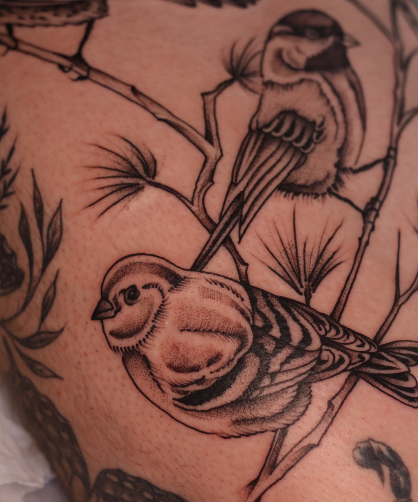 Tattoo by @nik.checots — black_and_grey