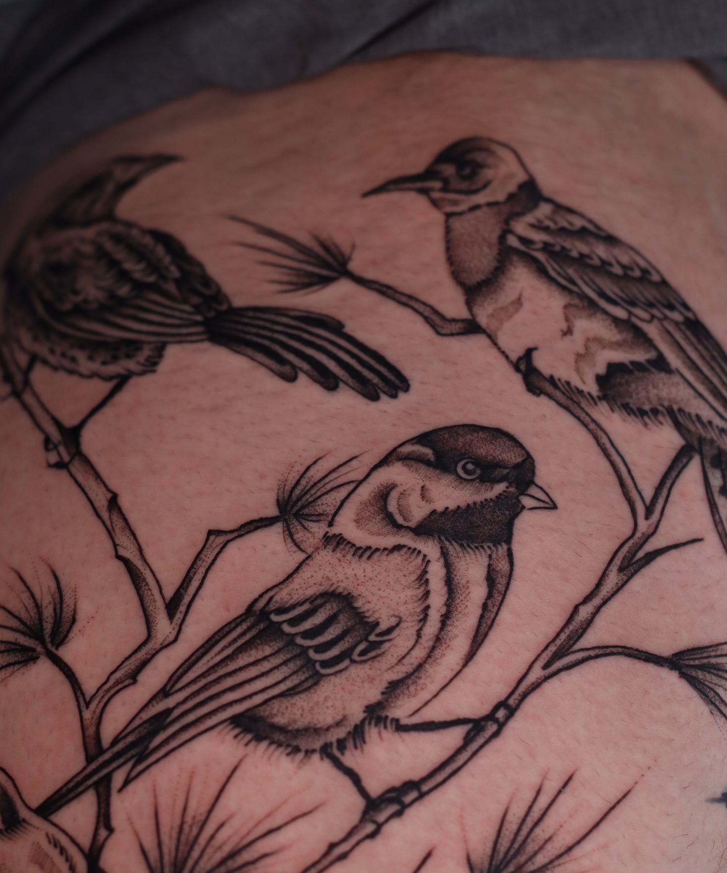 Tattoo by @nik.checots — dotwork, black_and_grey