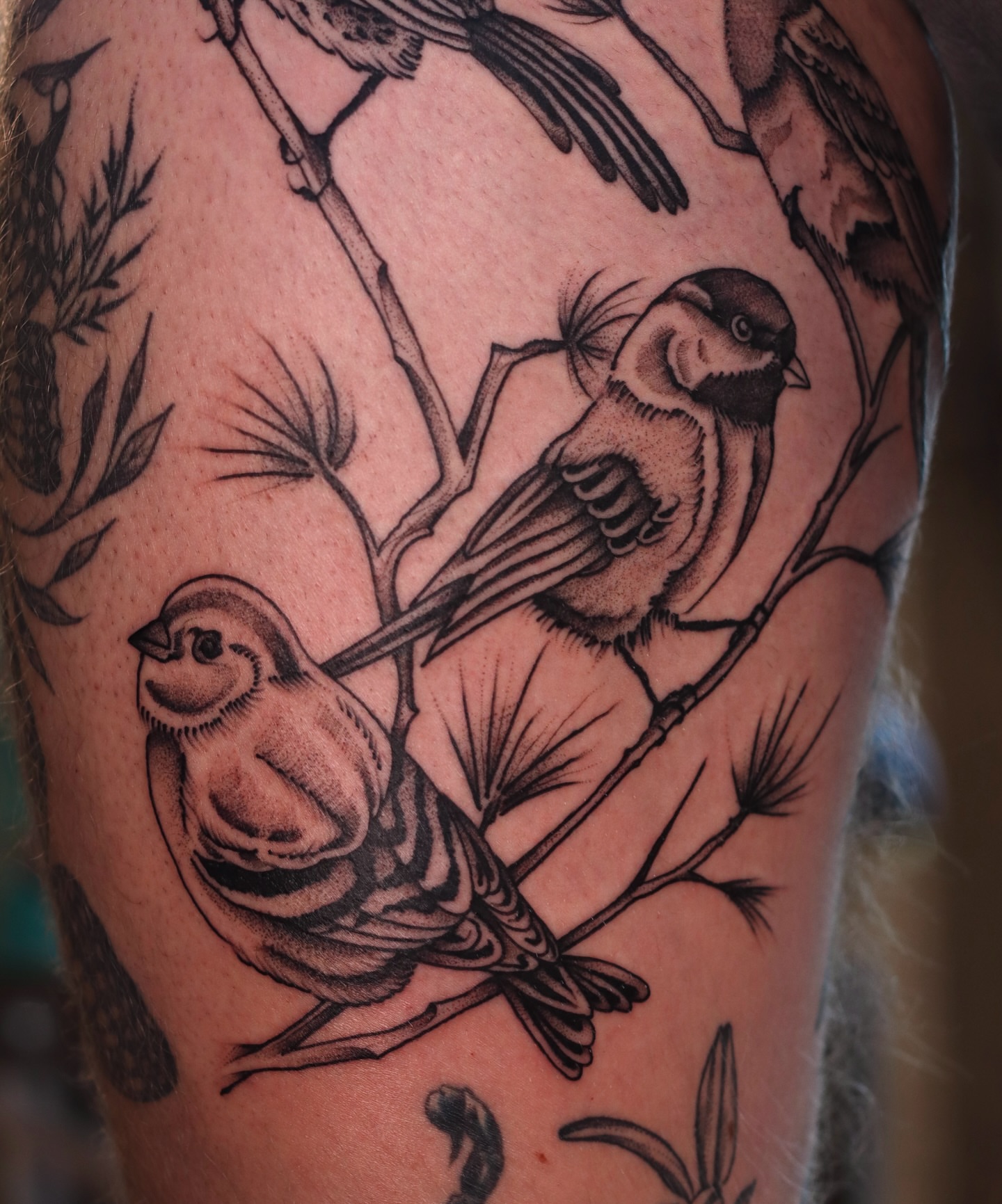 Birds black and grey tattoo on the forearm by Nik Checots