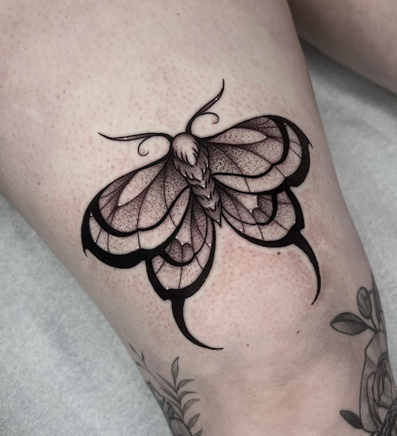 Moth dotwork tattoo on the thigh by 𝔅𝔯𝔦 𝔉𝔩𝔢𝔱𝔠𝔥𝔢𝔯