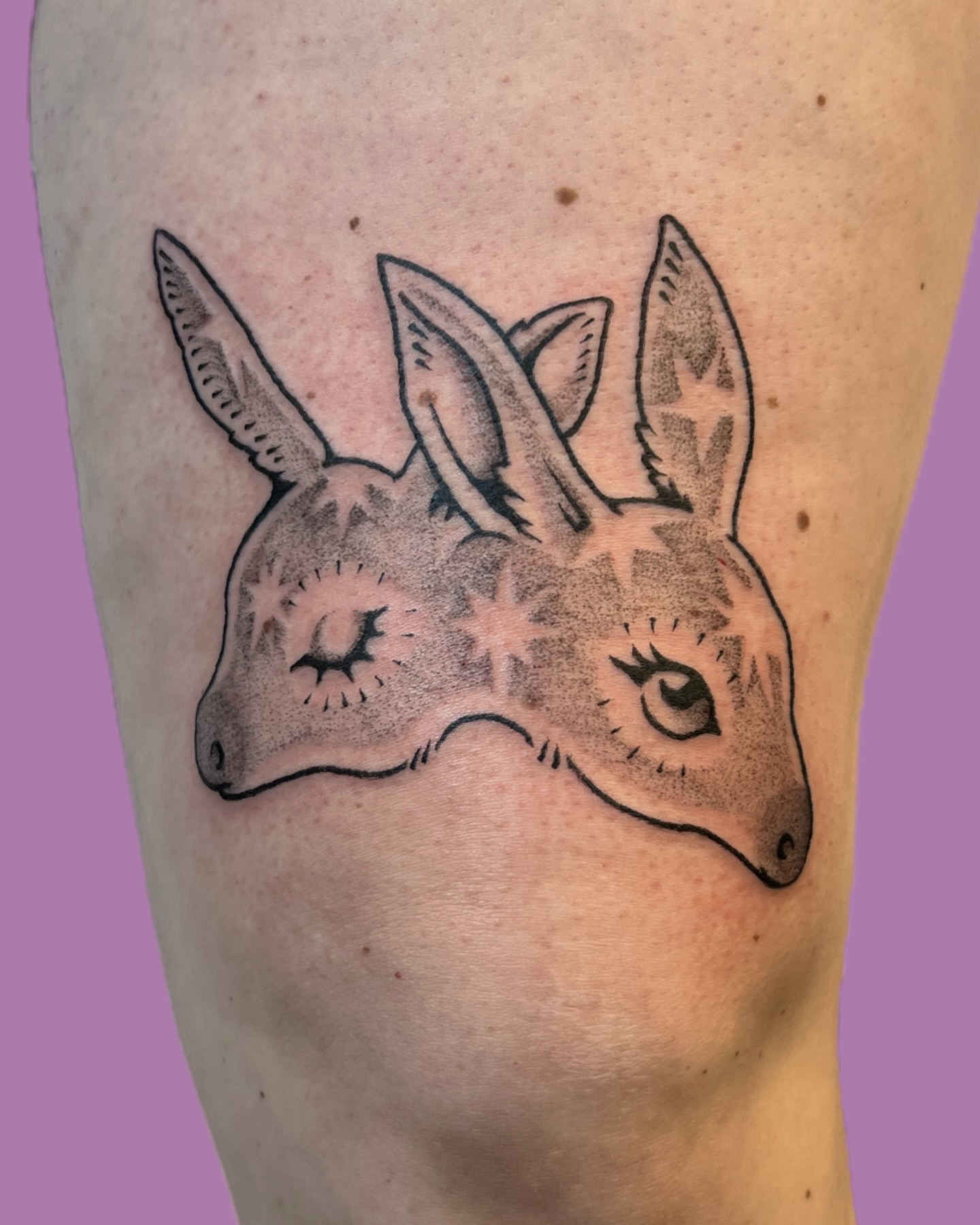 Donkey head dotwork tattoo on the forearm by rachel