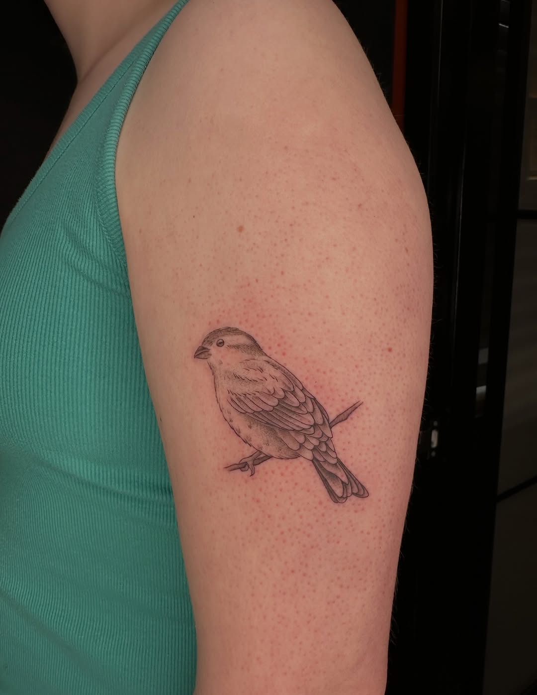 Tattoo by @allhailtattoos_ — fine_line, realism