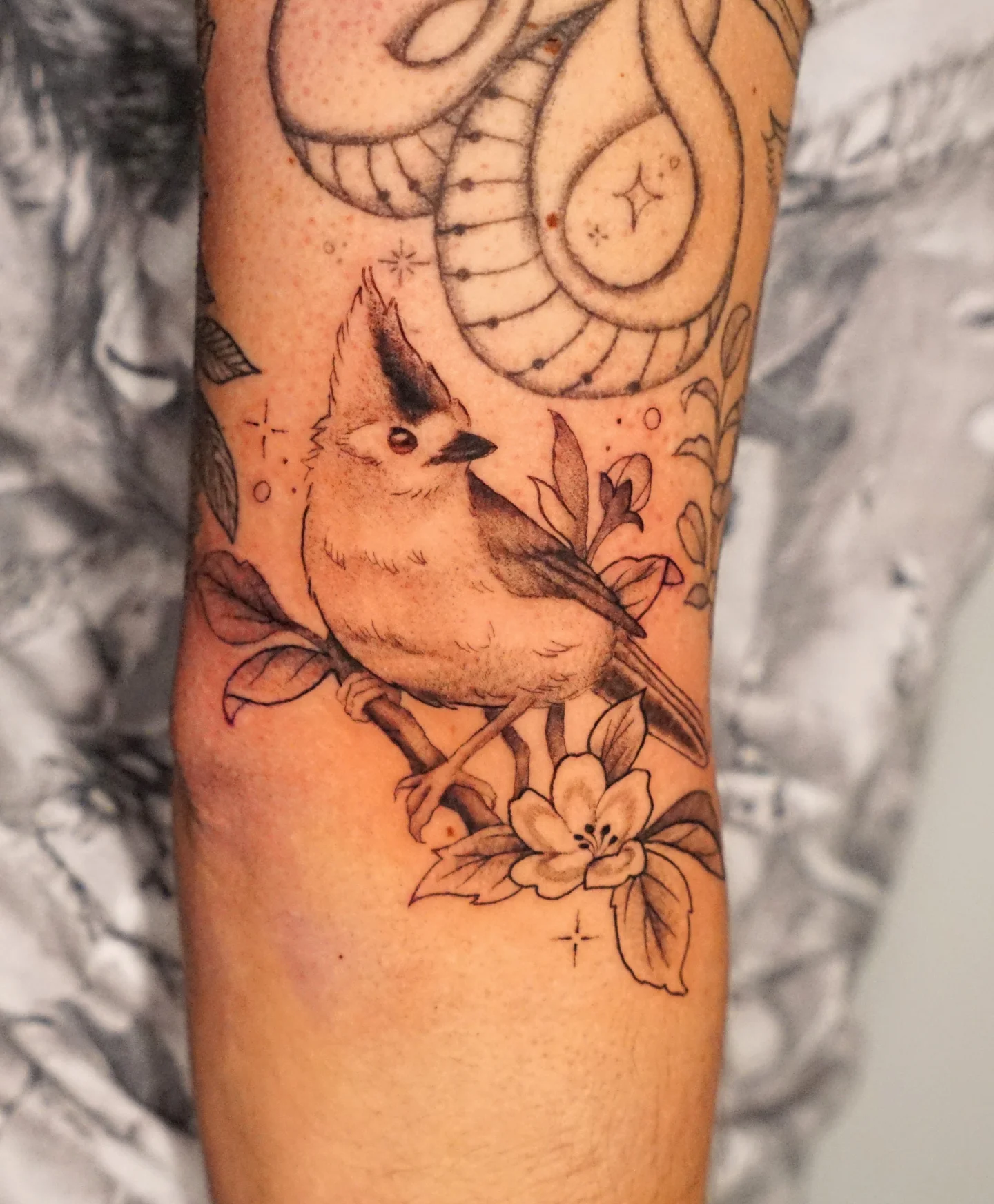 Titmouse and flowers black and grey tattoo on the forearm by kylie, San Antonio, Texas