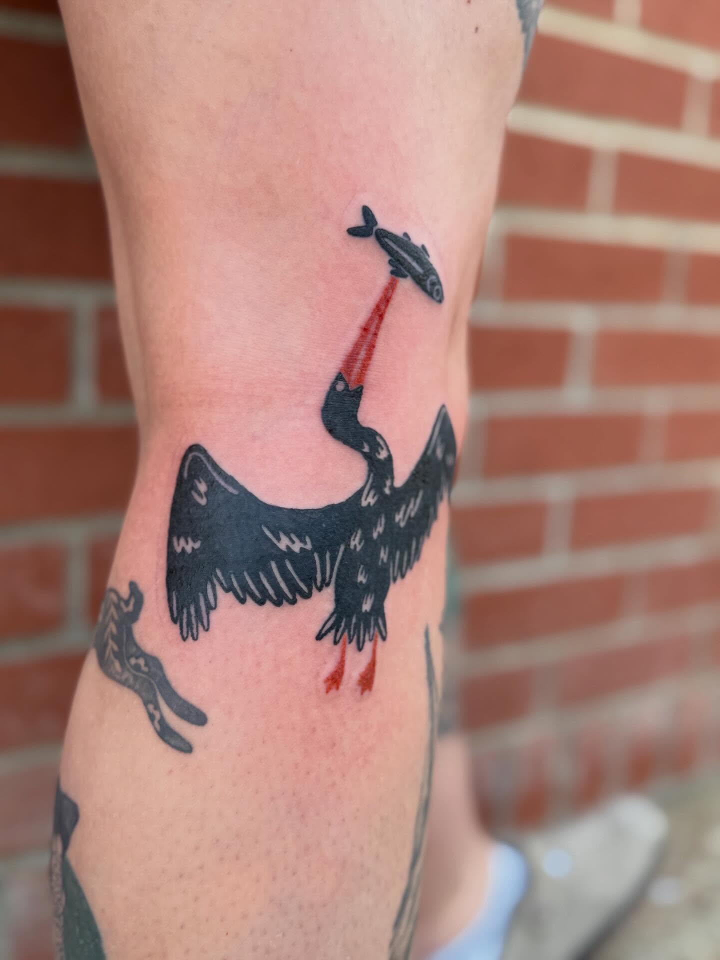 Pelican with fish black and grey tattoo on the forearm by Aly Rucker, Murfreesboro, Tennessee