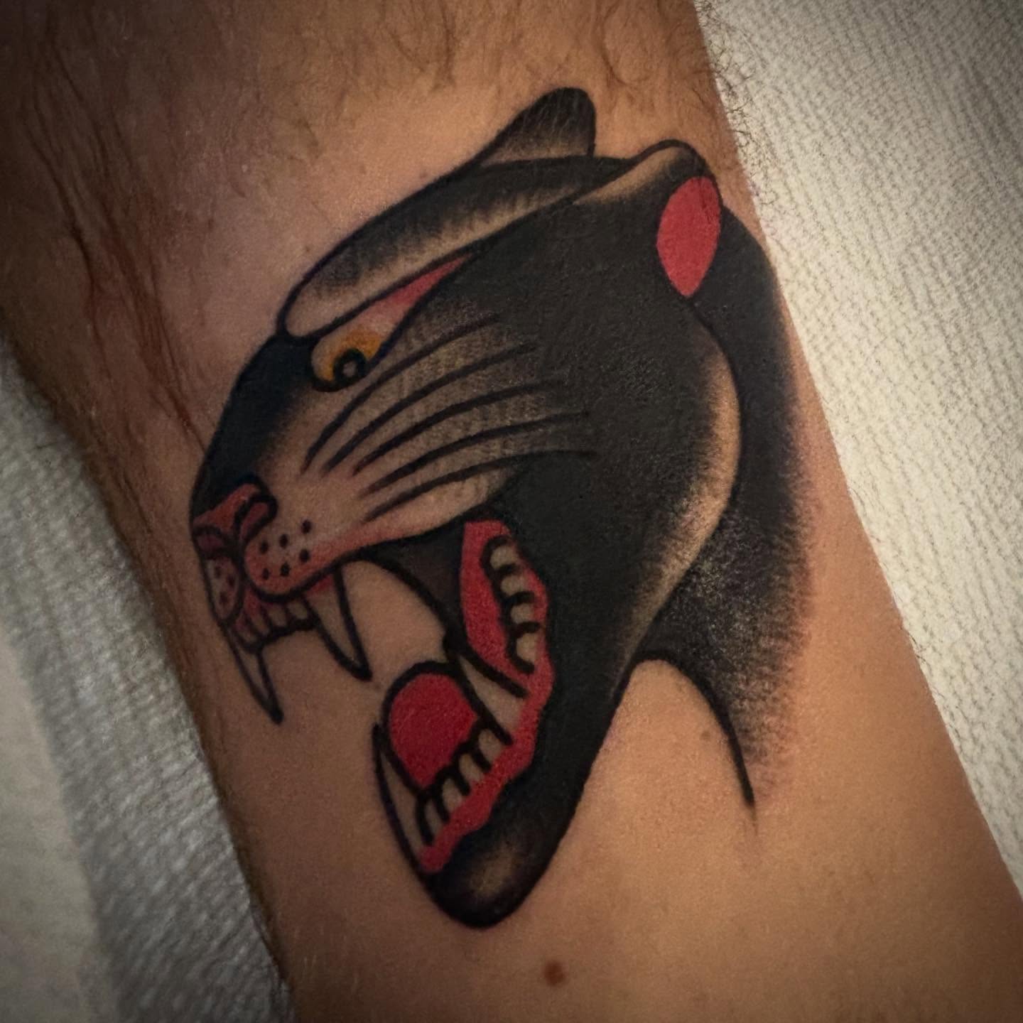 Panther American traditional tattoo on the forearm by Danny DiBlasi, San Francisco, California
